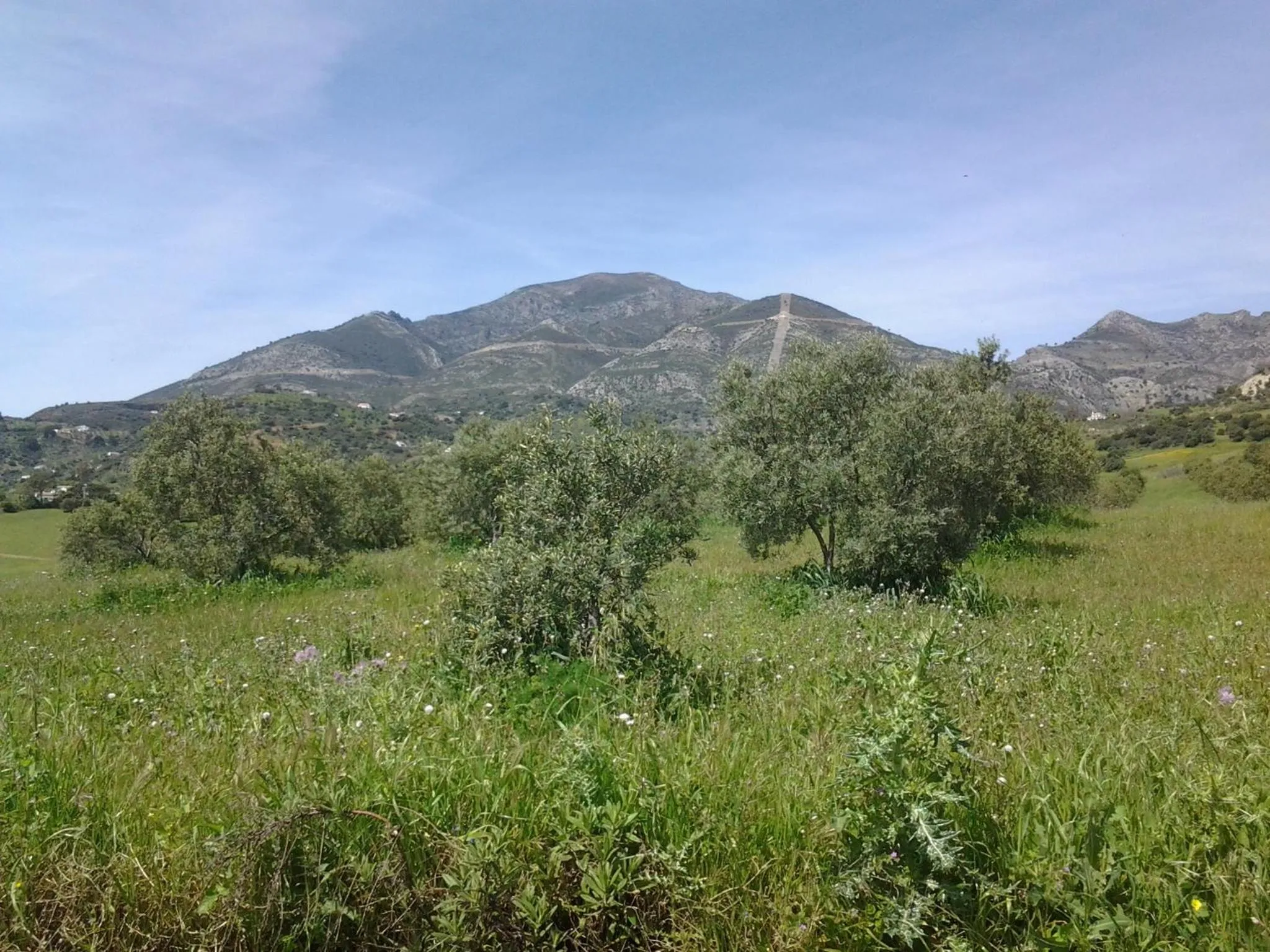 Area and facilities in Casa Grande de El Burgo