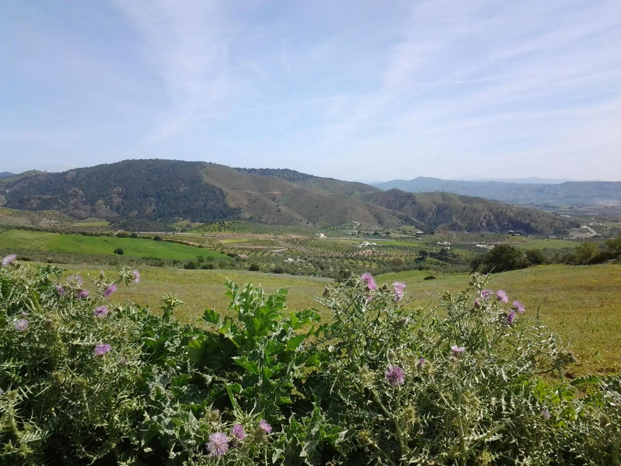 Area and facilities in Casa Grande de El Burgo
