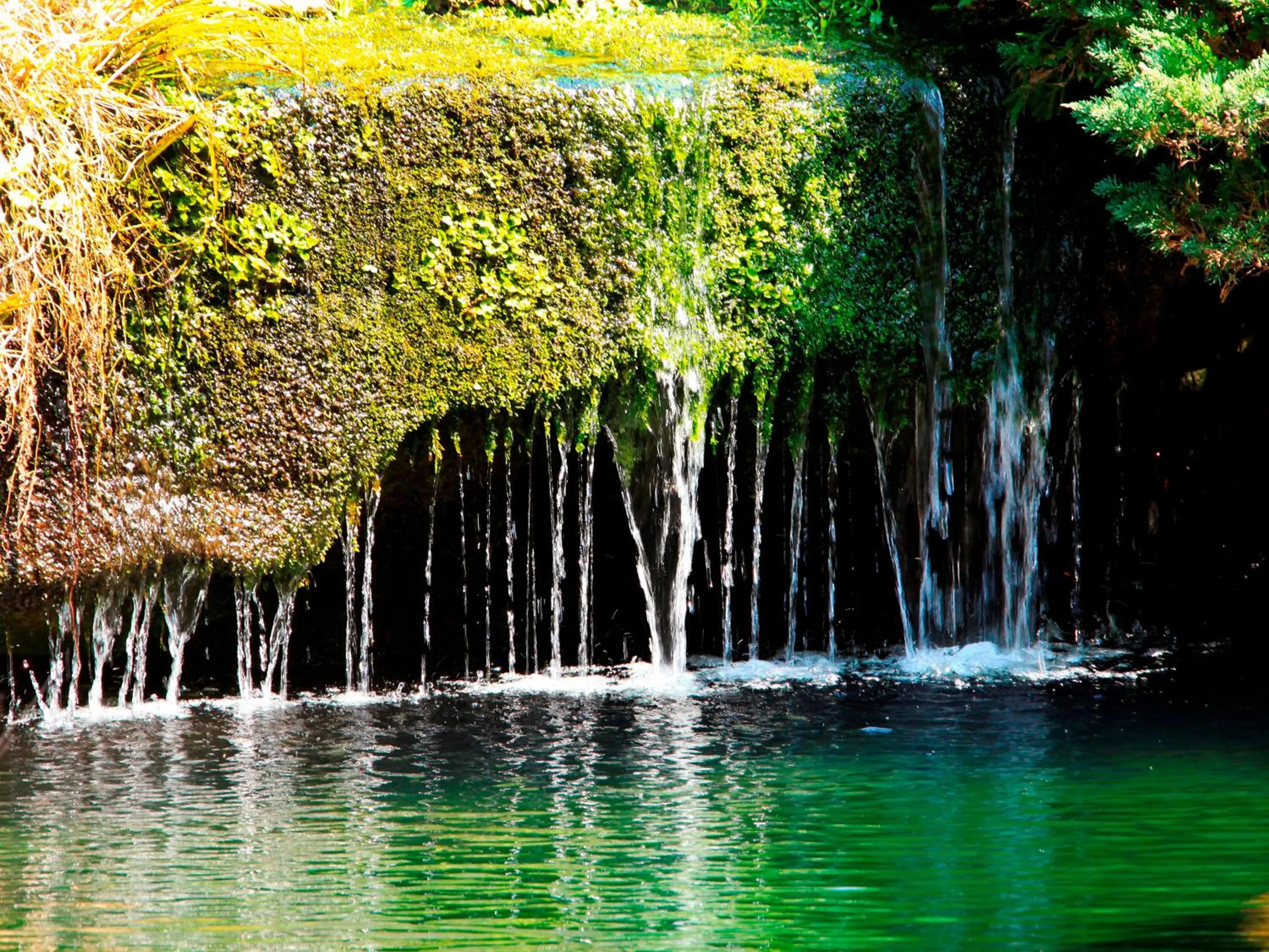 Garden in Hotel Kamogawaso