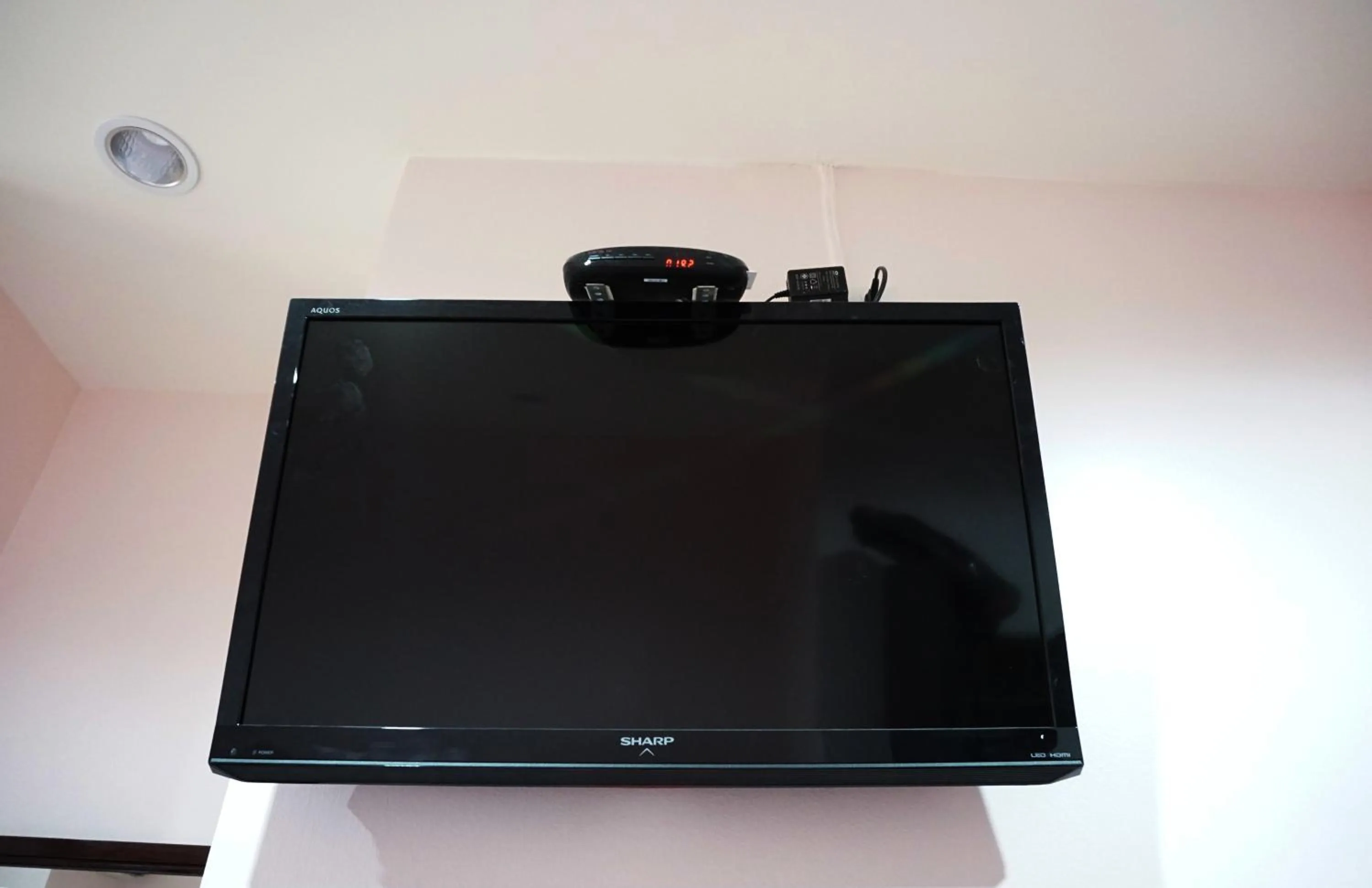 TV and multimedia in Sureena Hotel