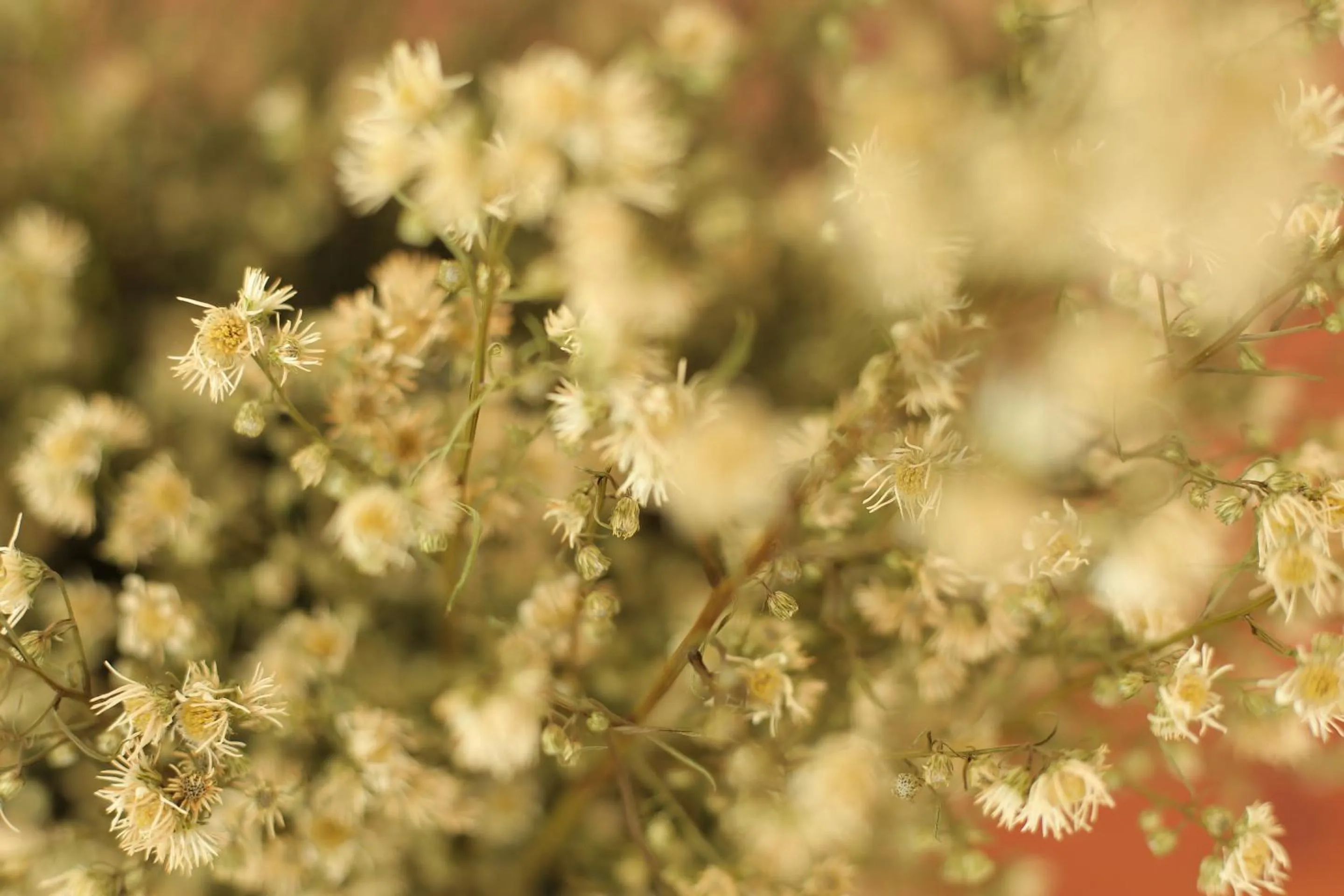 Decorative detail in Navela Hotel & Convention