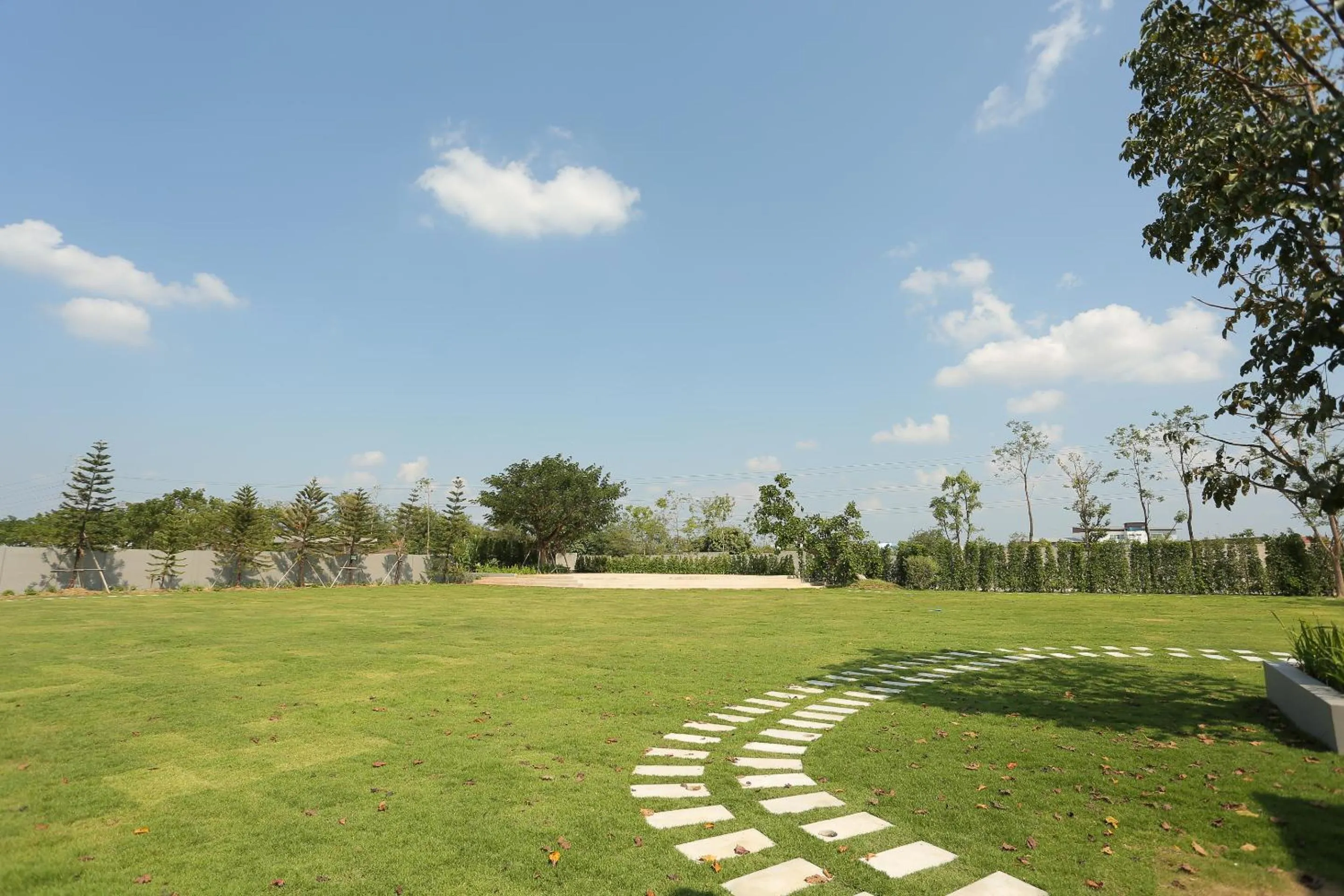 Garden in Navela Hotel & Convention