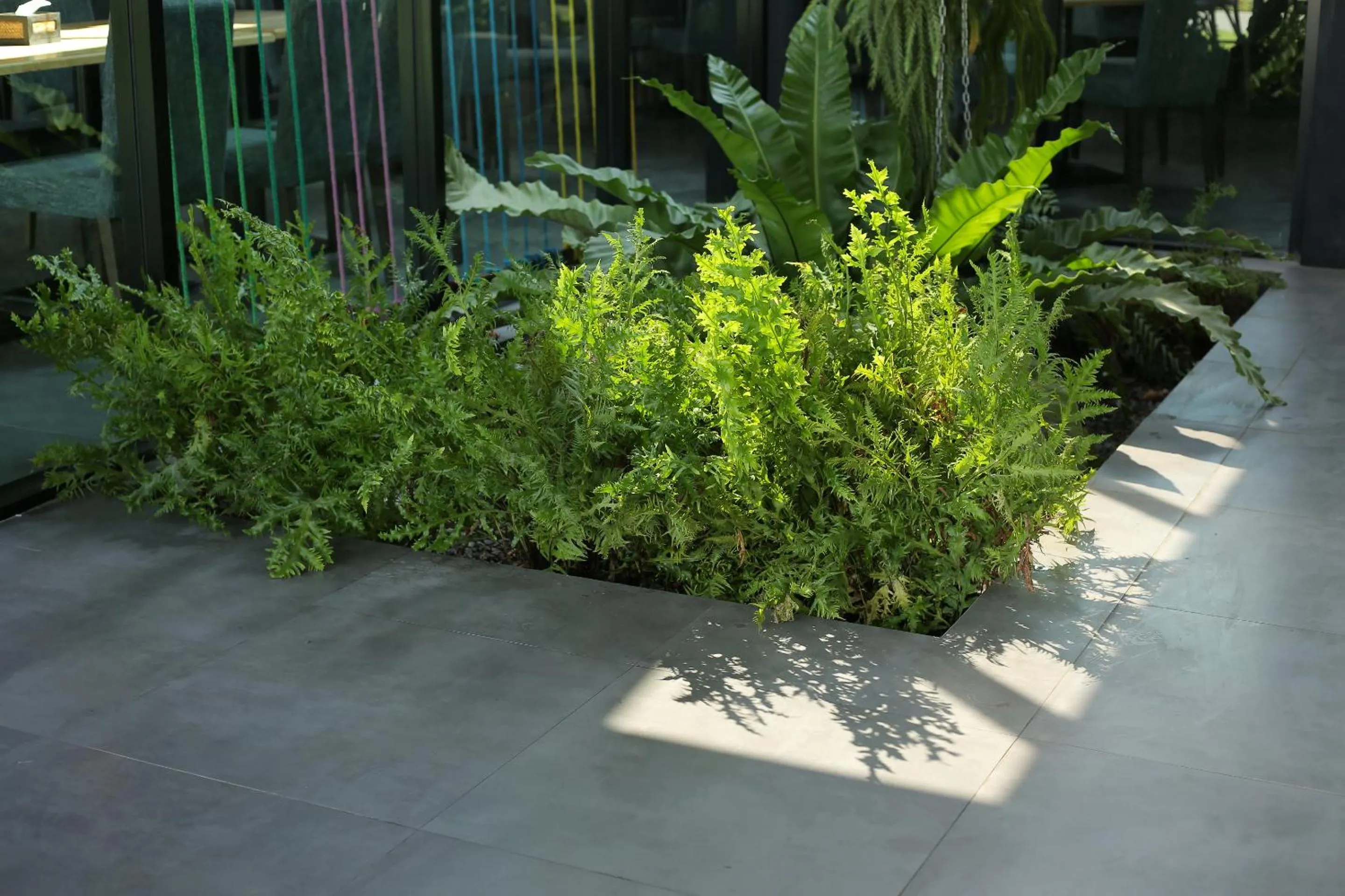 Garden view in Navela Hotel & Convention