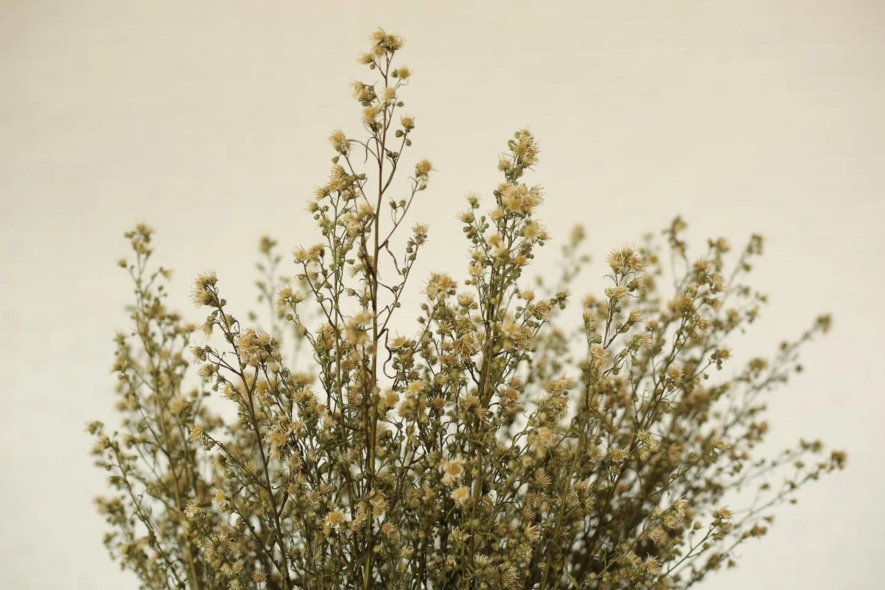 Decorative detail in Navela Hotel & Convention