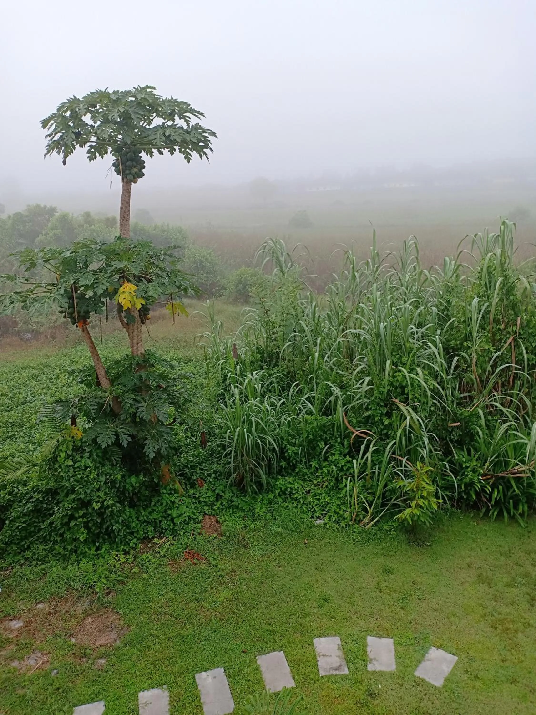 Greenfield Residence