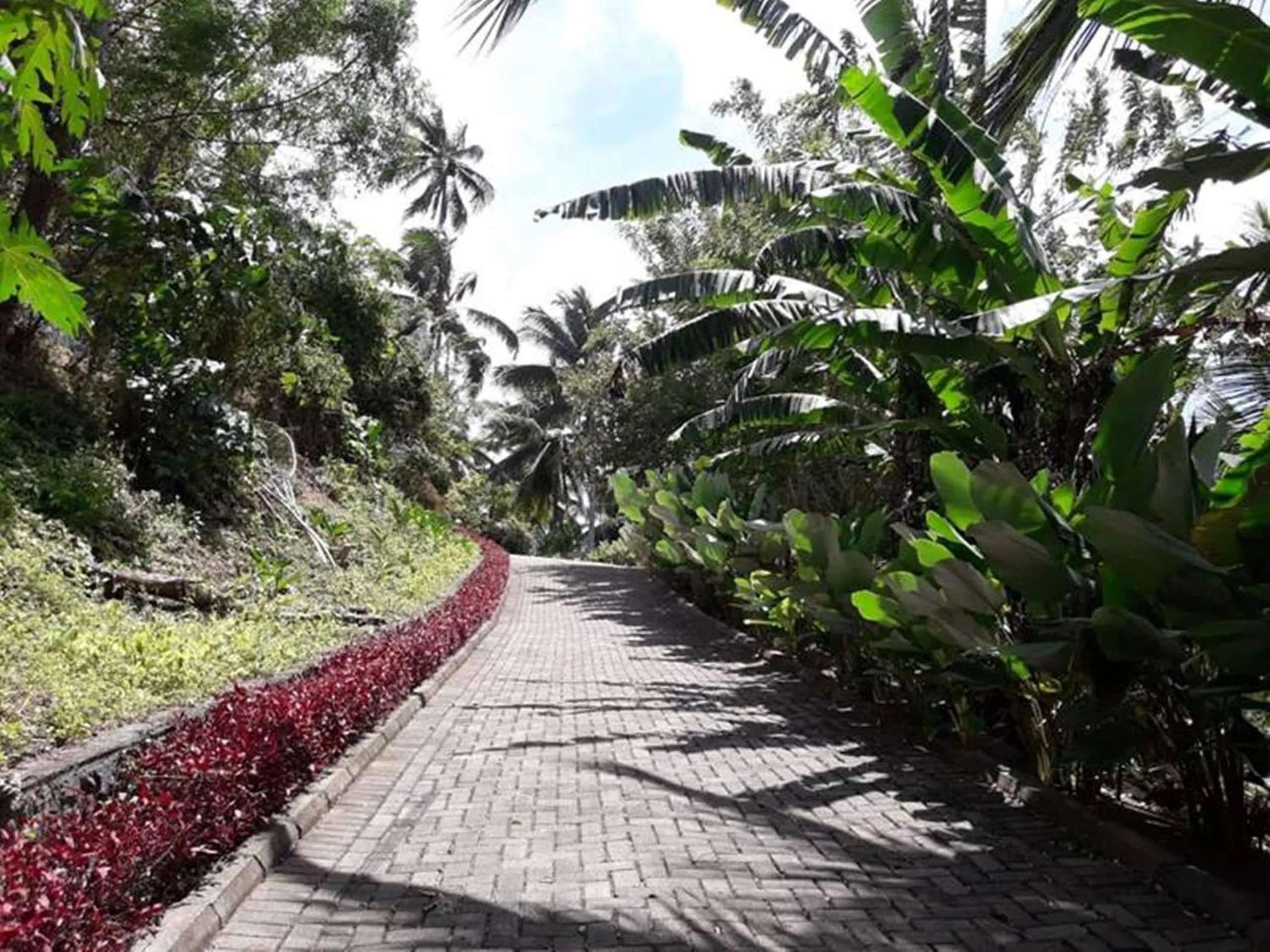 Garden in Botanica Nature Resort