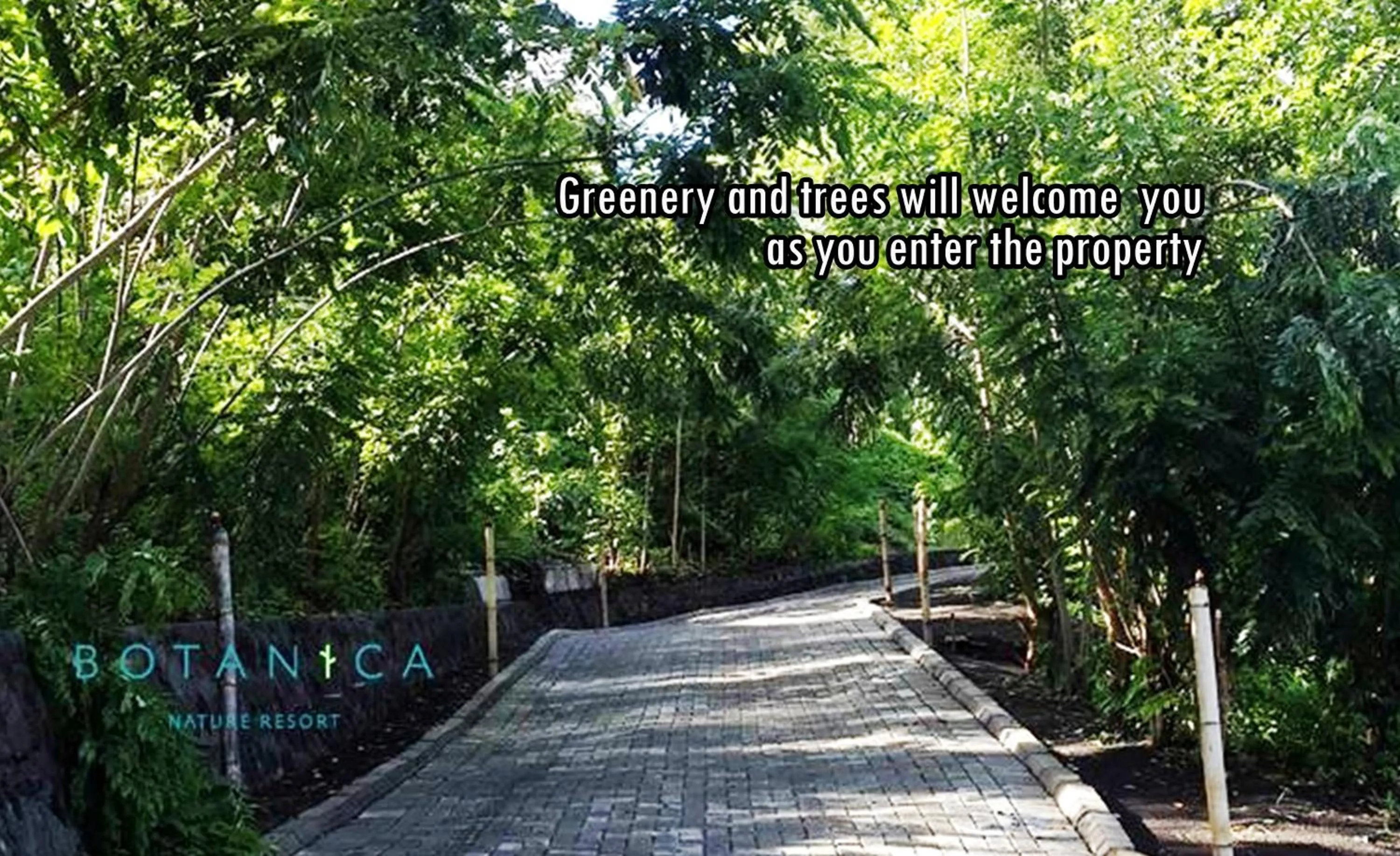 Natural landscape in Botanica Nature Resort