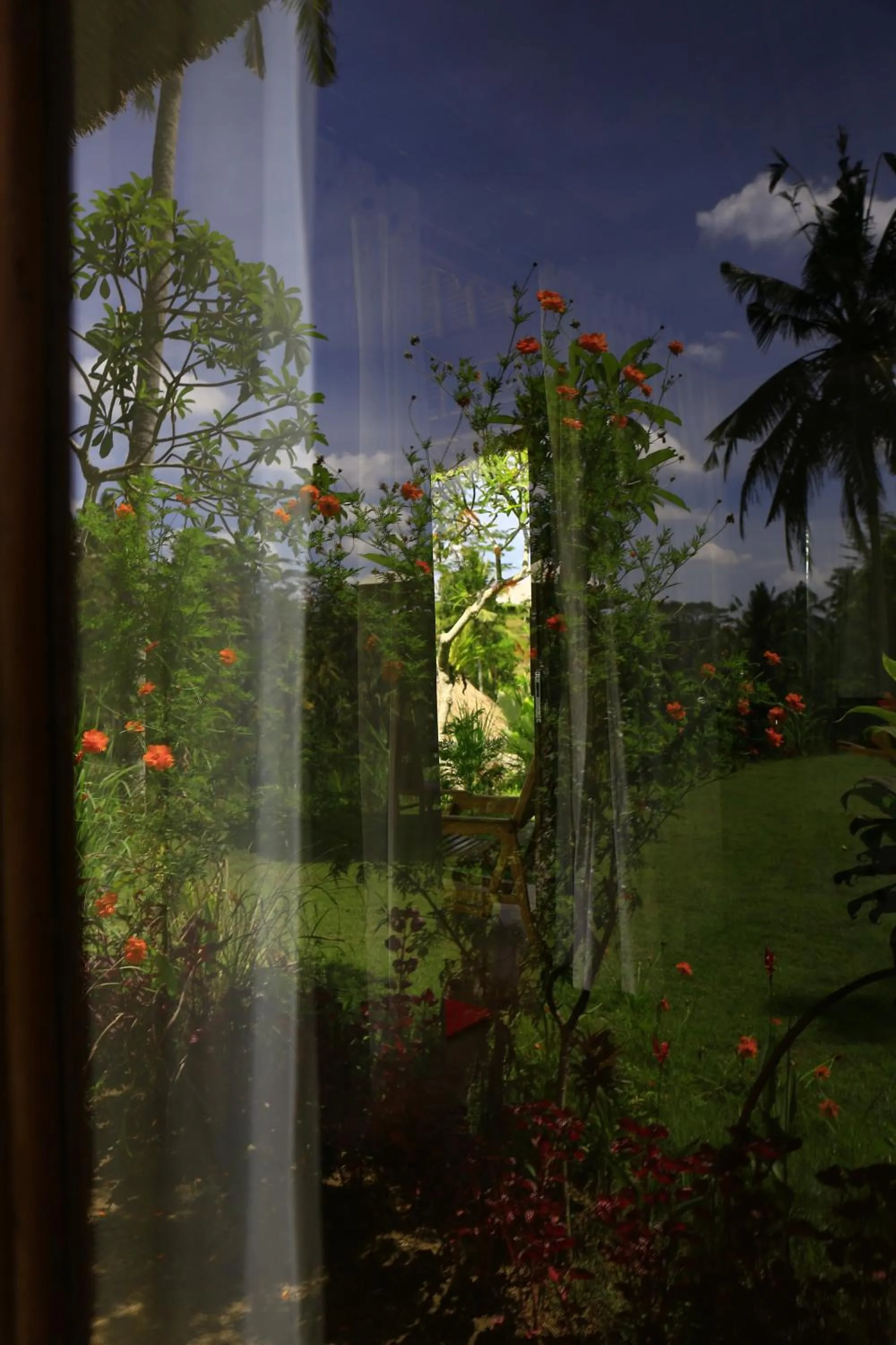 Garden view in Bersila La Maison Du Bonheur