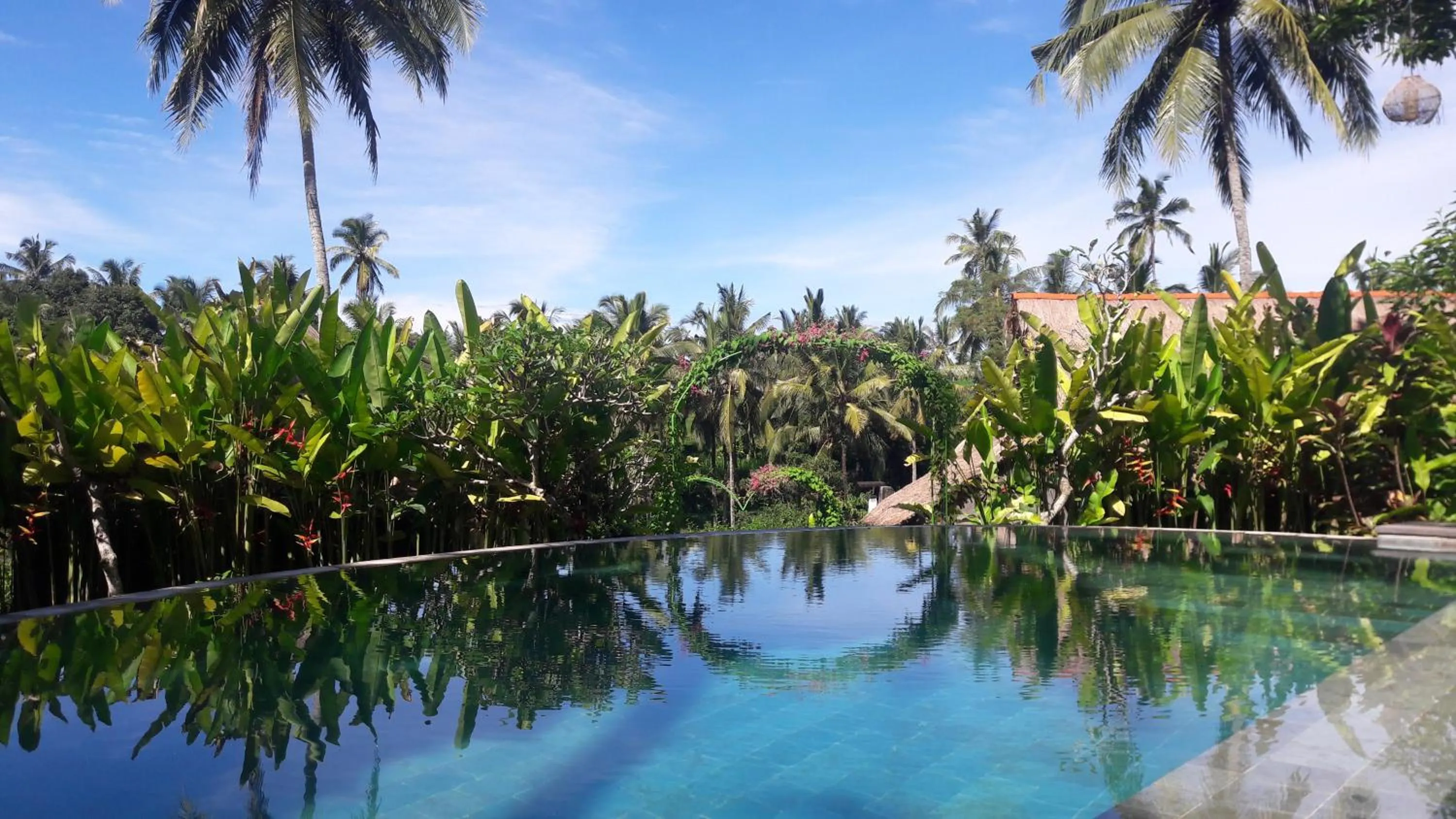 Swimming pool in Bersila La Maison Du Bonheur