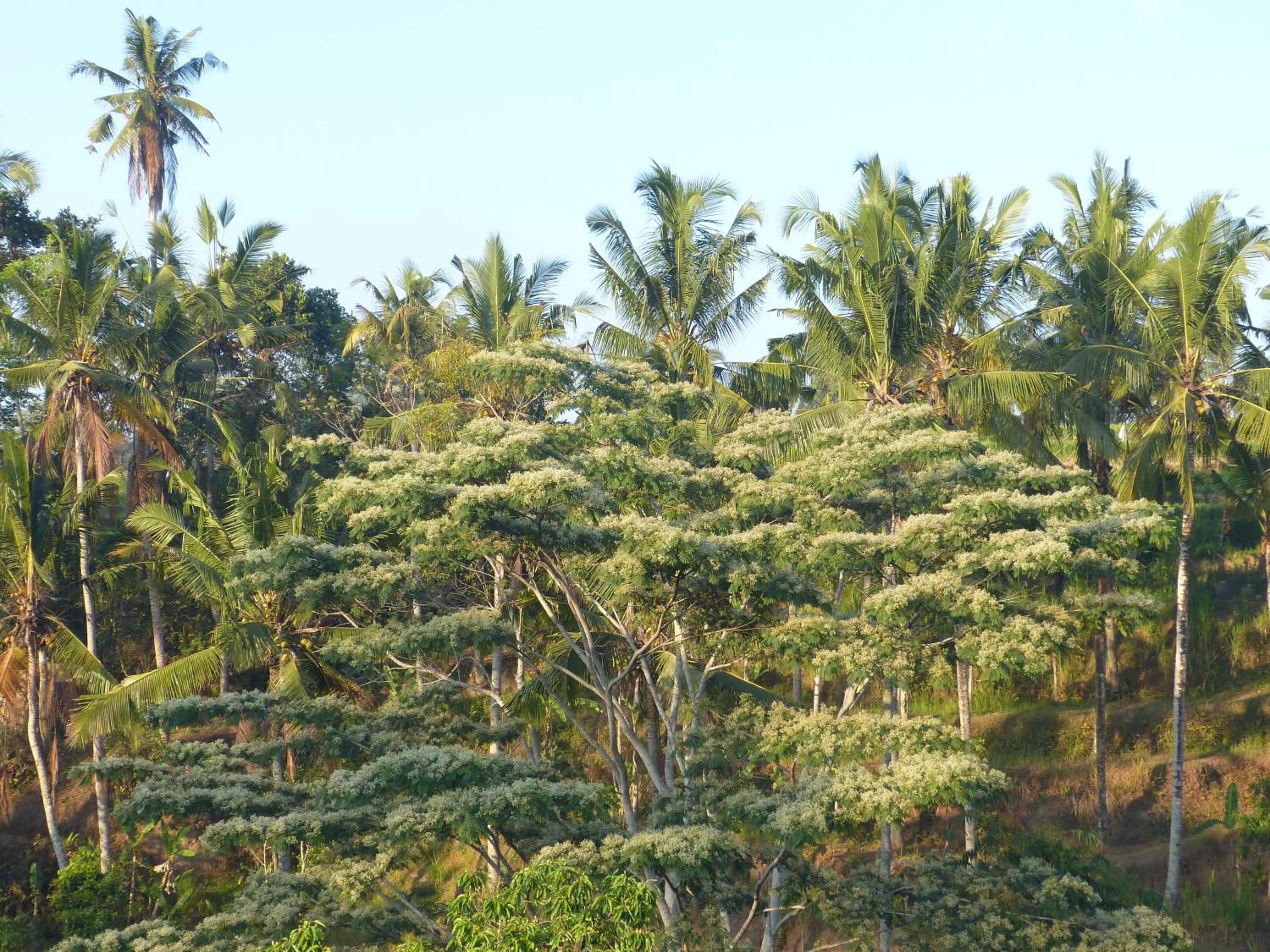 Natural landscape in Bersila La Maison Du Bonheur