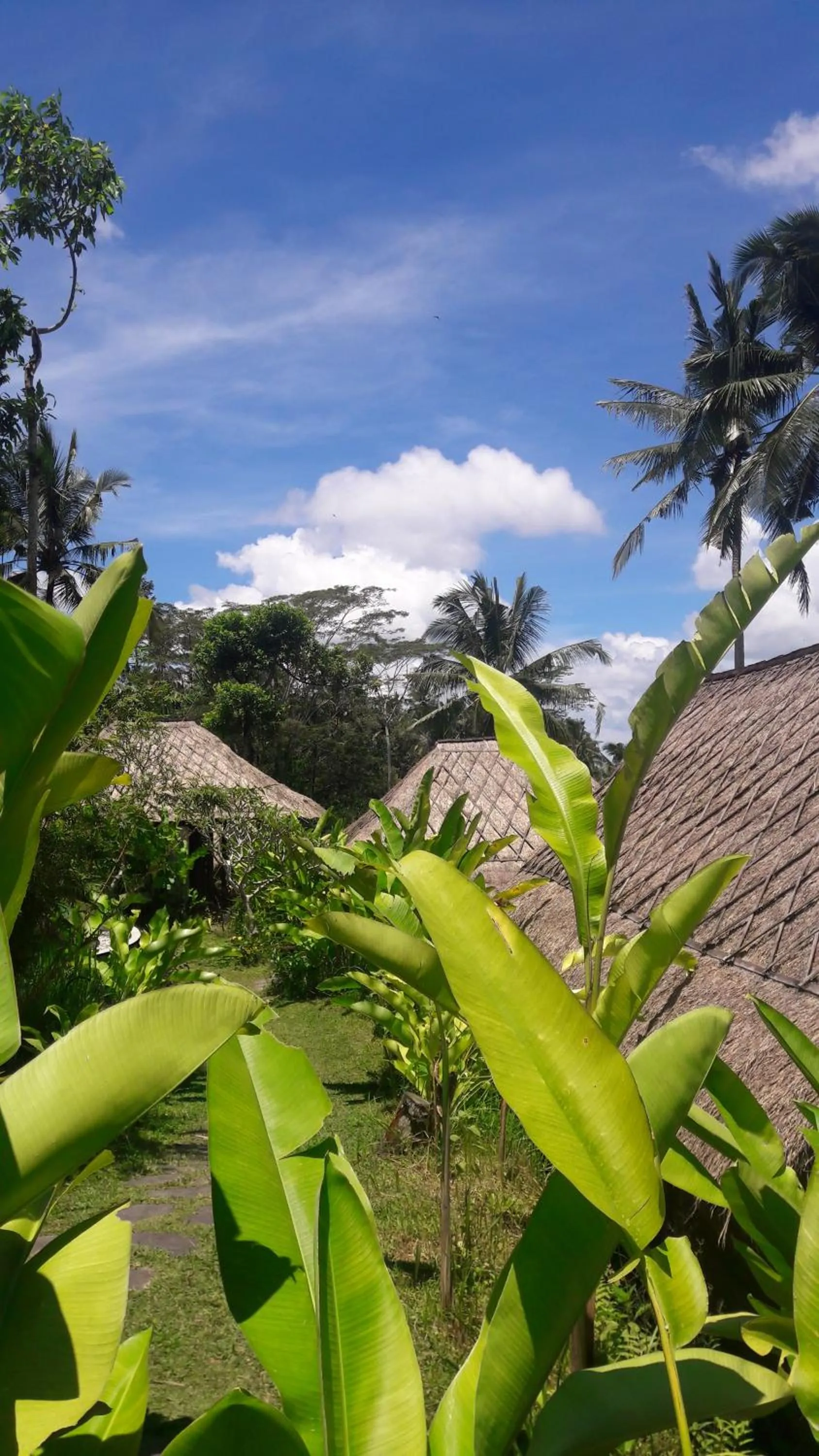 Other in Bersila La Maison Du Bonheur