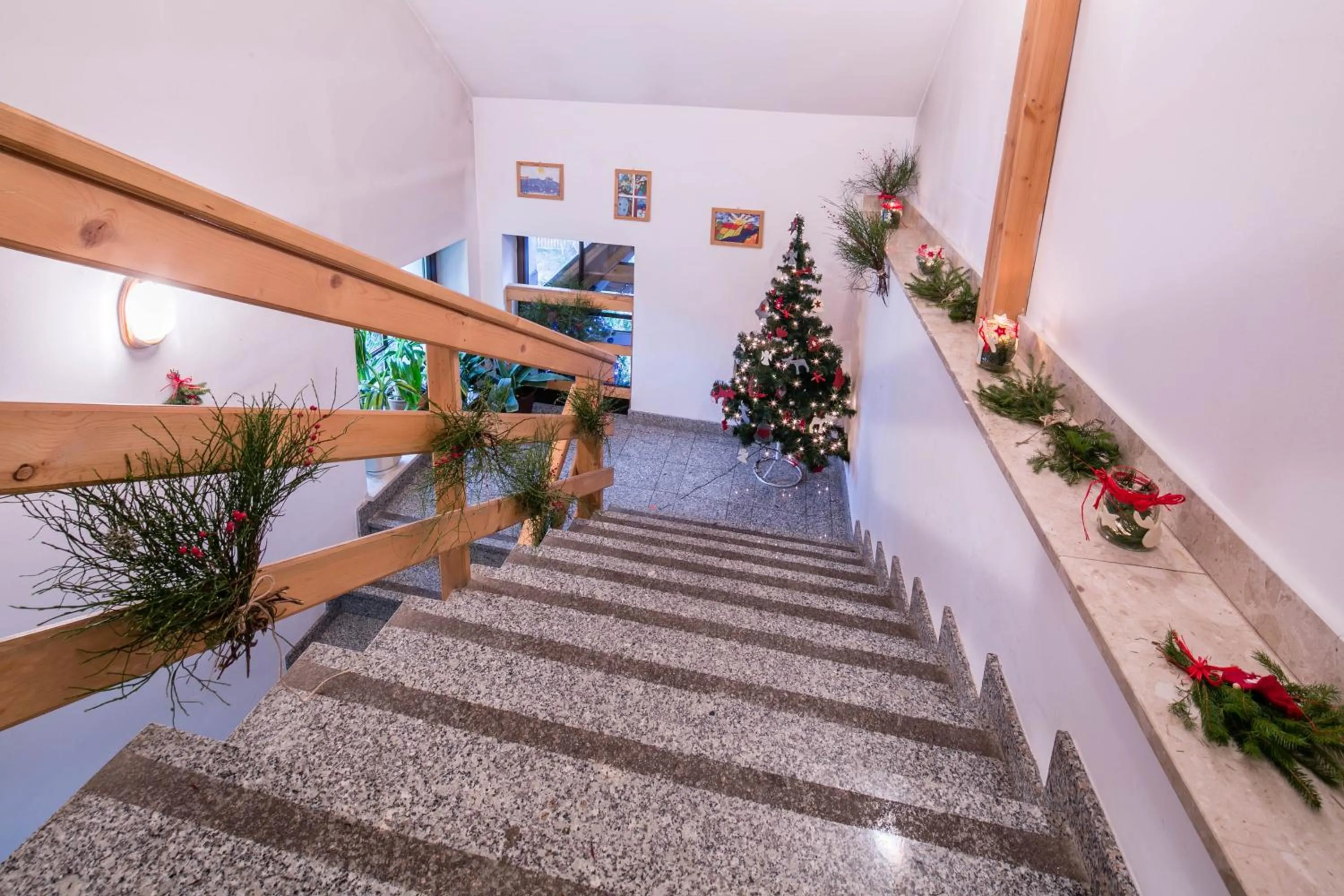 Area and facilities in Willa Alpina