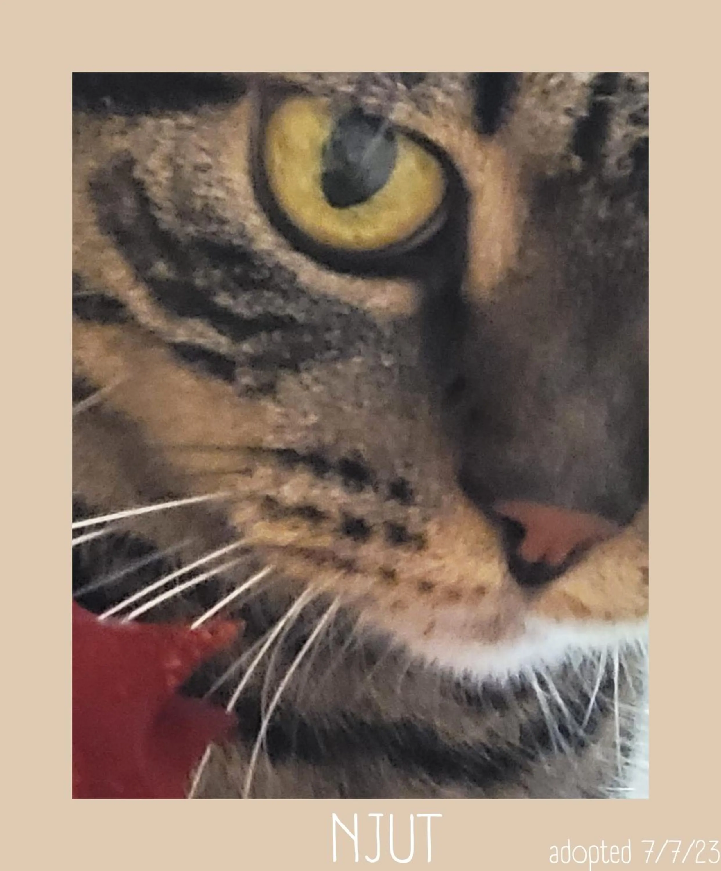 Patio in Plug inn Montmartre by Hiphophostels