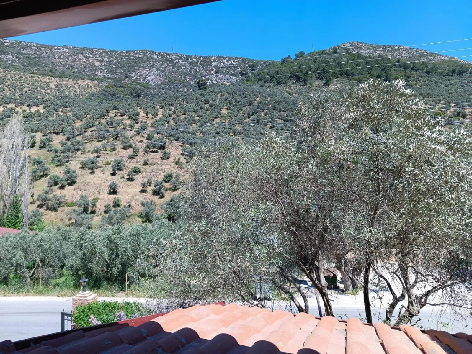 Day in Şirince Klaseas Hotel&Restaurant