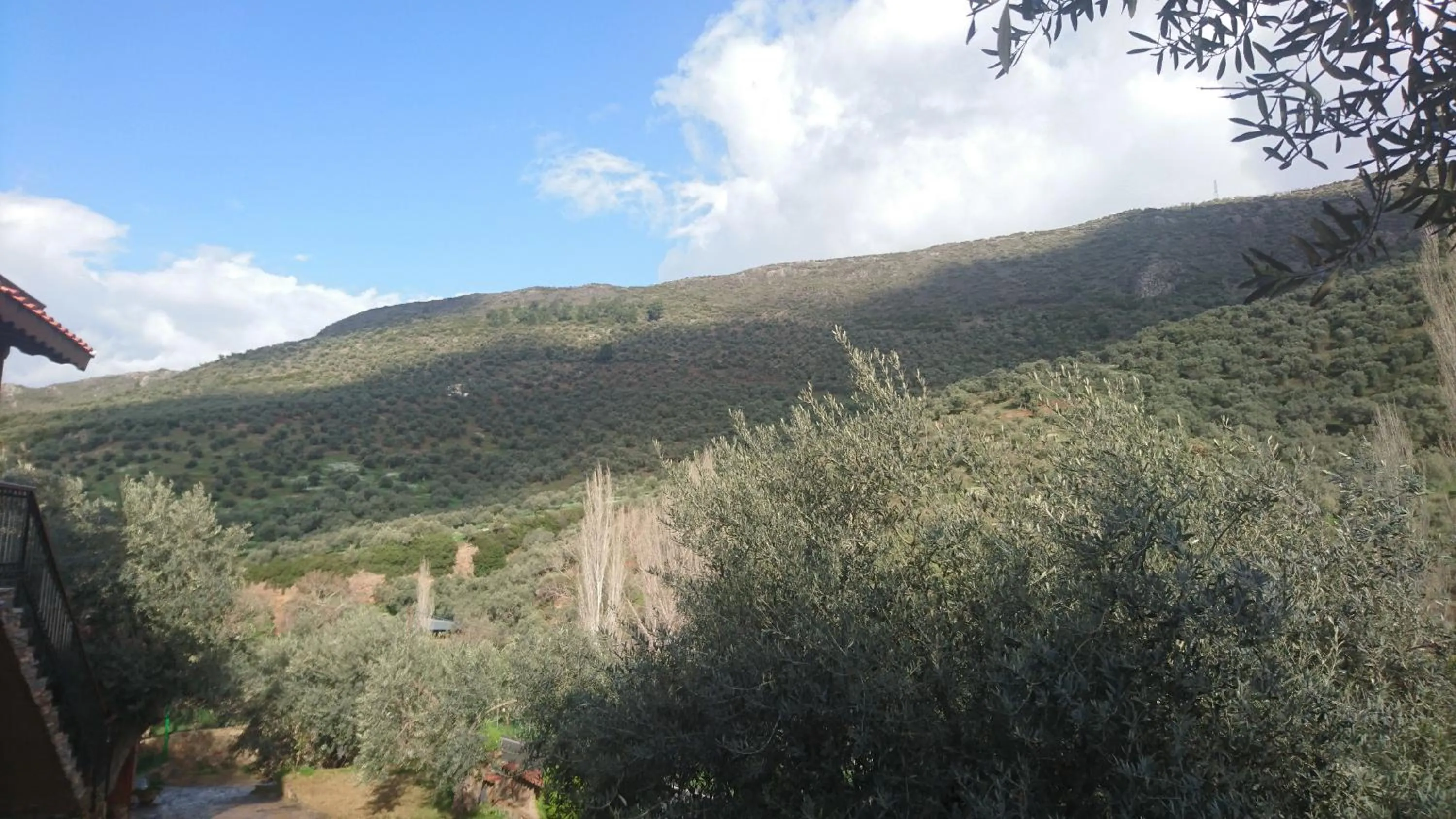 View (from property/room) in Şirince Klaseas Hotel&Restaurant