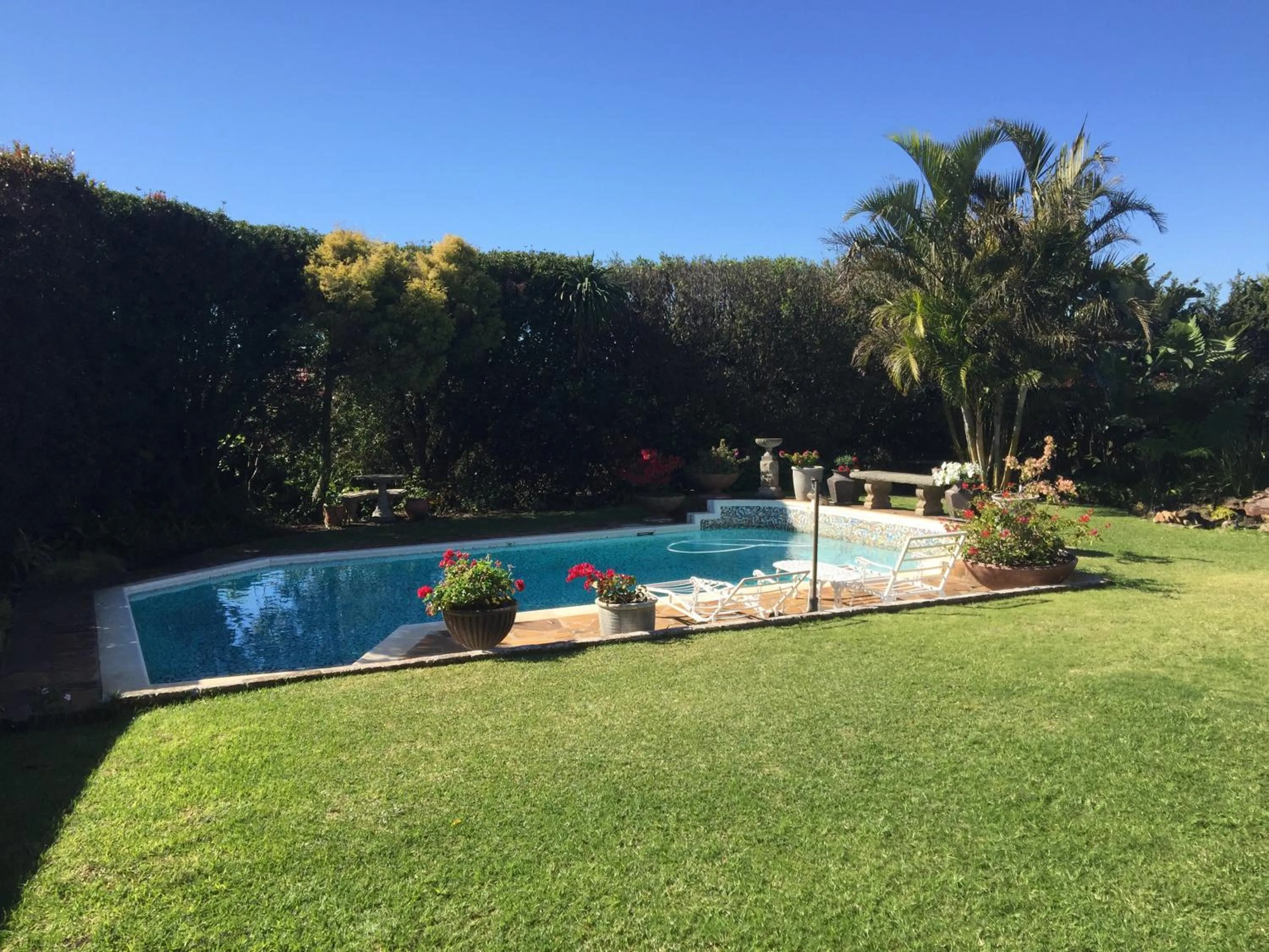 Swimming pool in Jackie's B&B