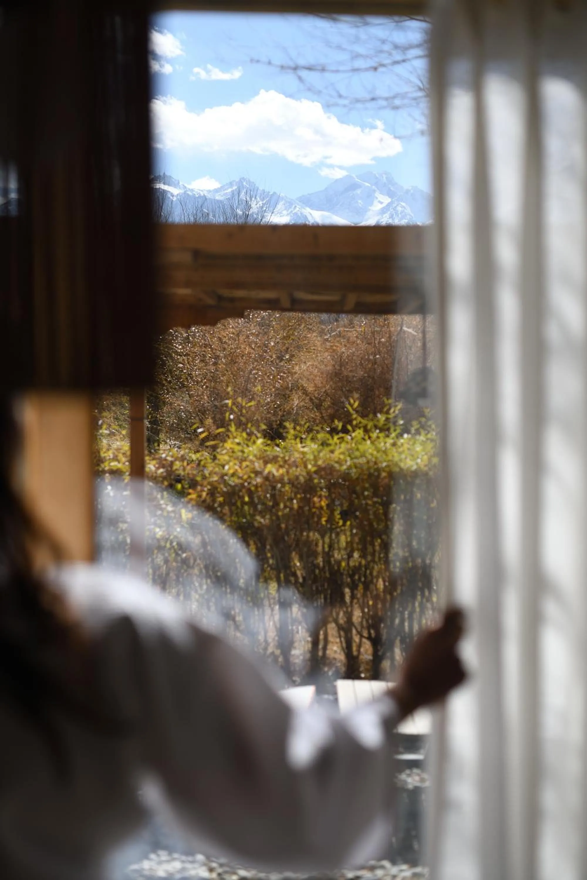 Bedroom in Lchang Nang Retreat-THE HOUSE OF TREES-Nubra Valley