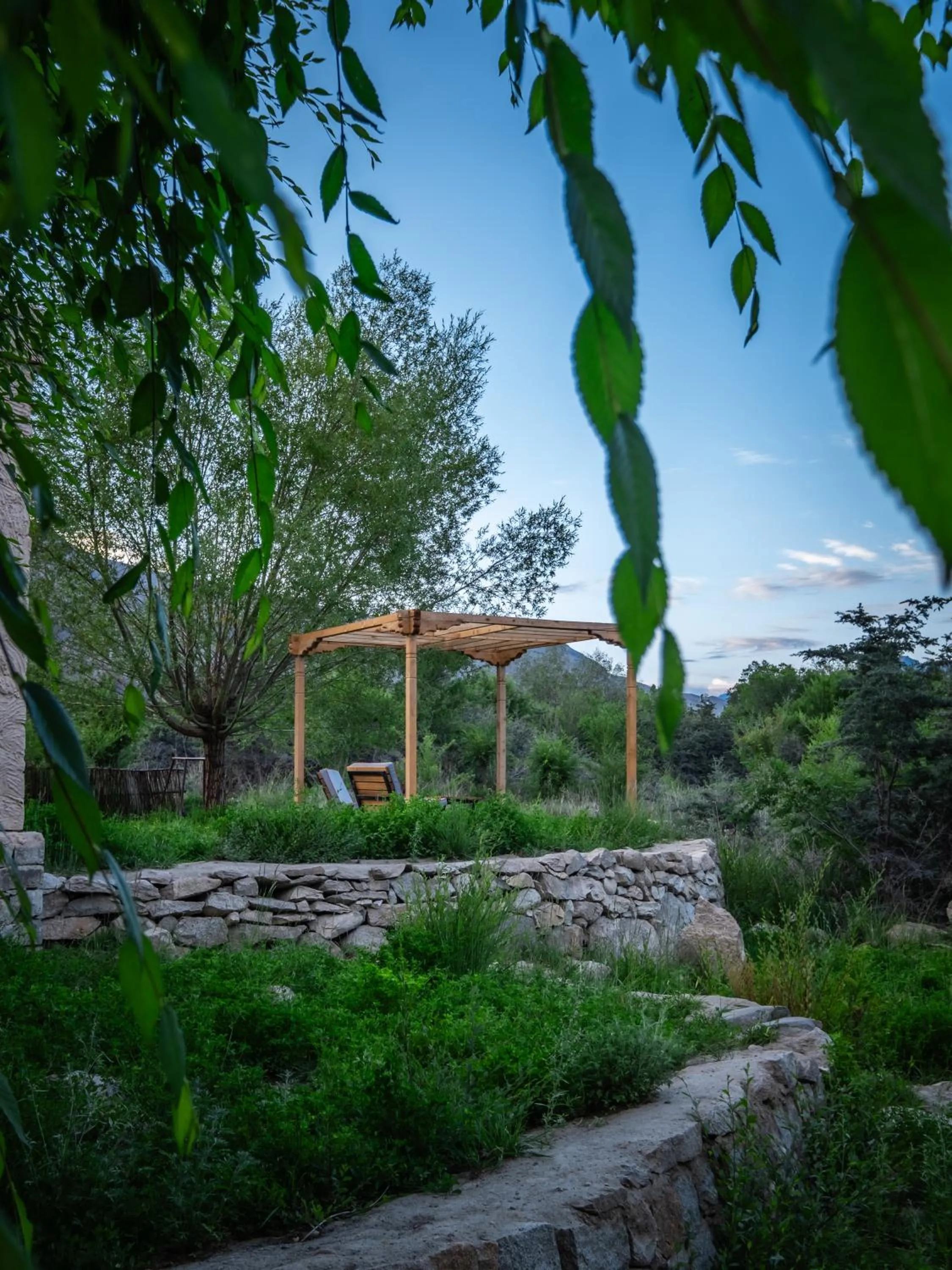 Garden view in Lchang Nang Retreat-THE HOUSE OF TREES-Nubra Valley