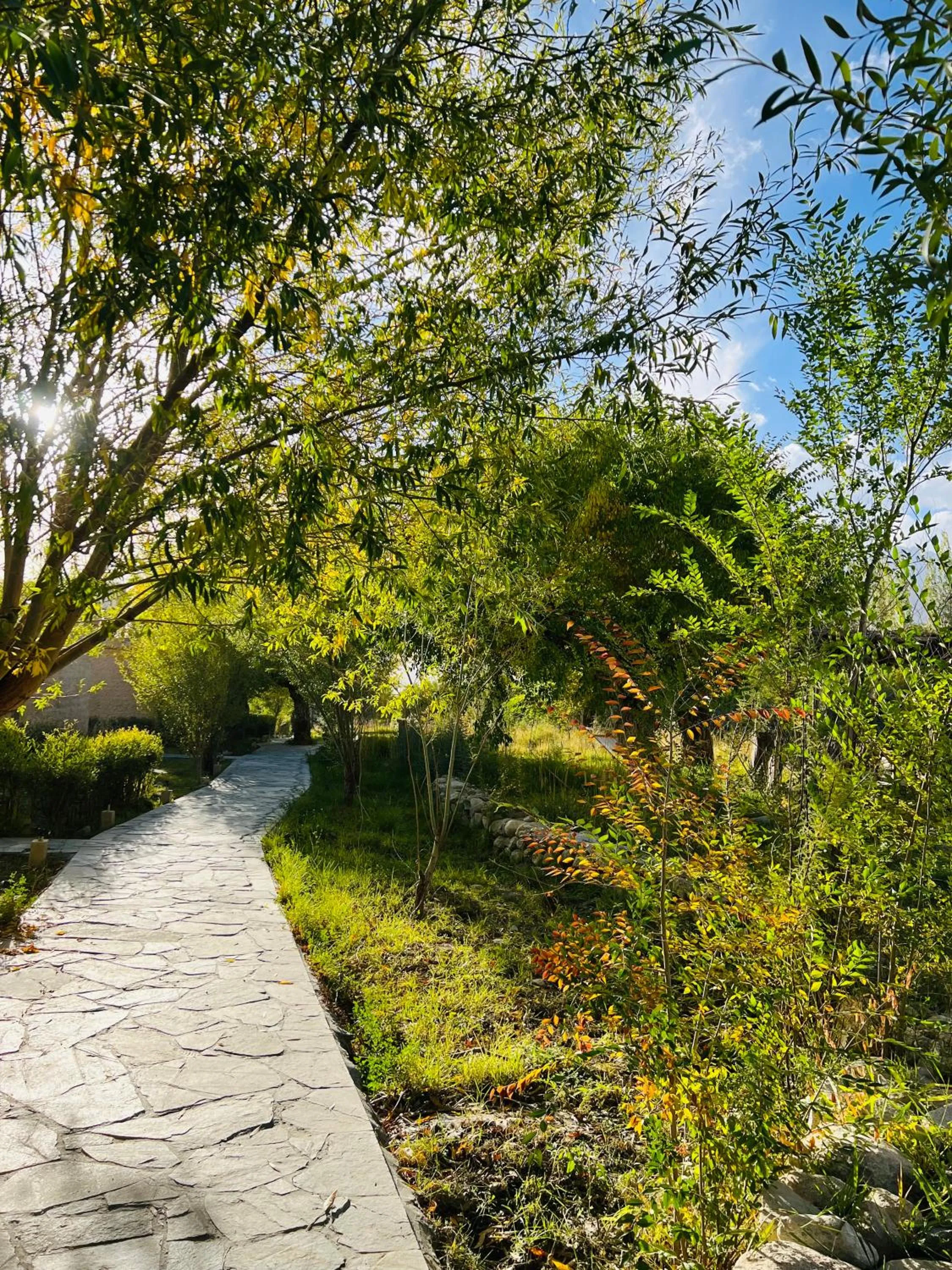 Natural landscape in Lchang Nang Retreat-THE HOUSE OF TREES-Nubra Valley