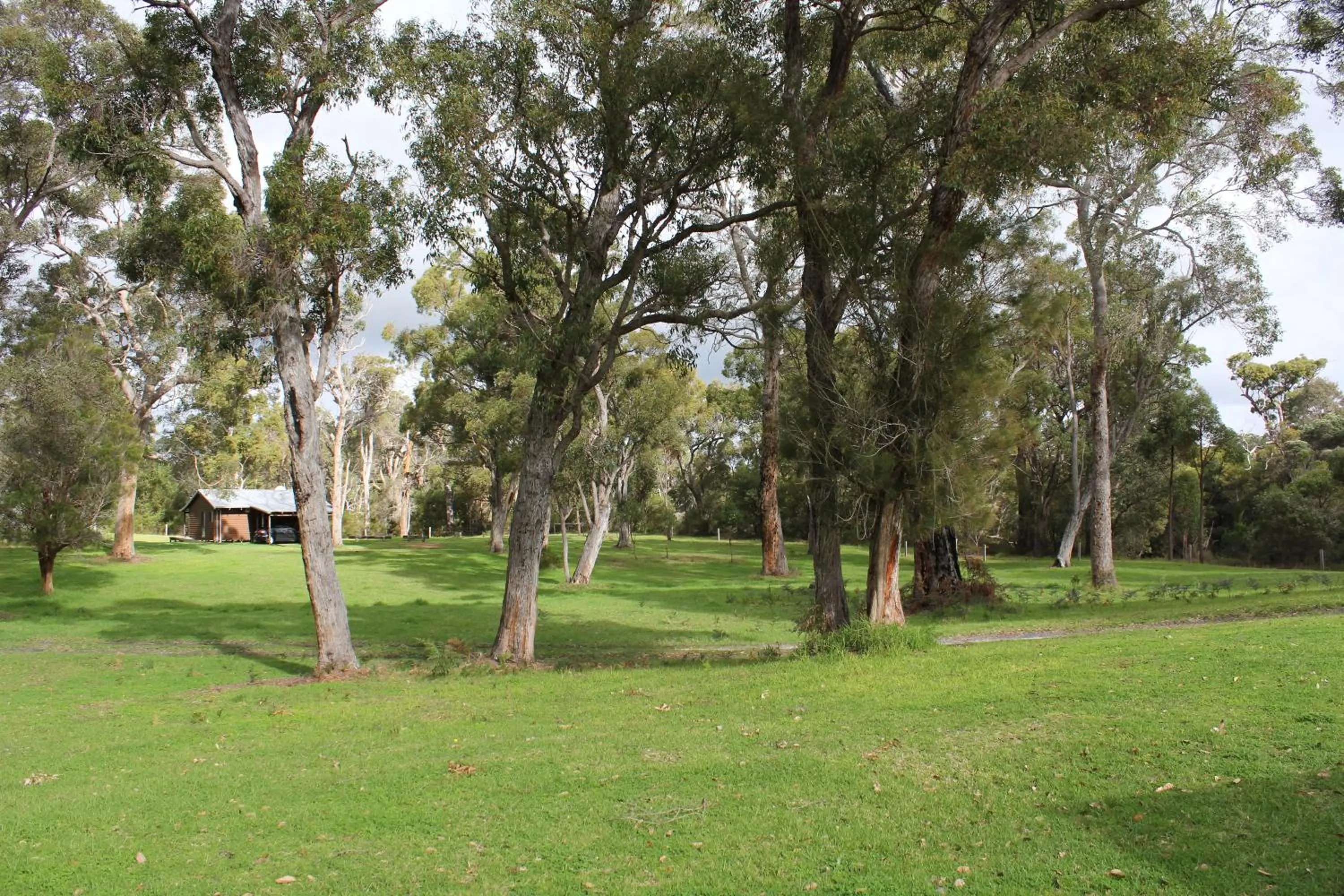 Che Sara Sara Chalets