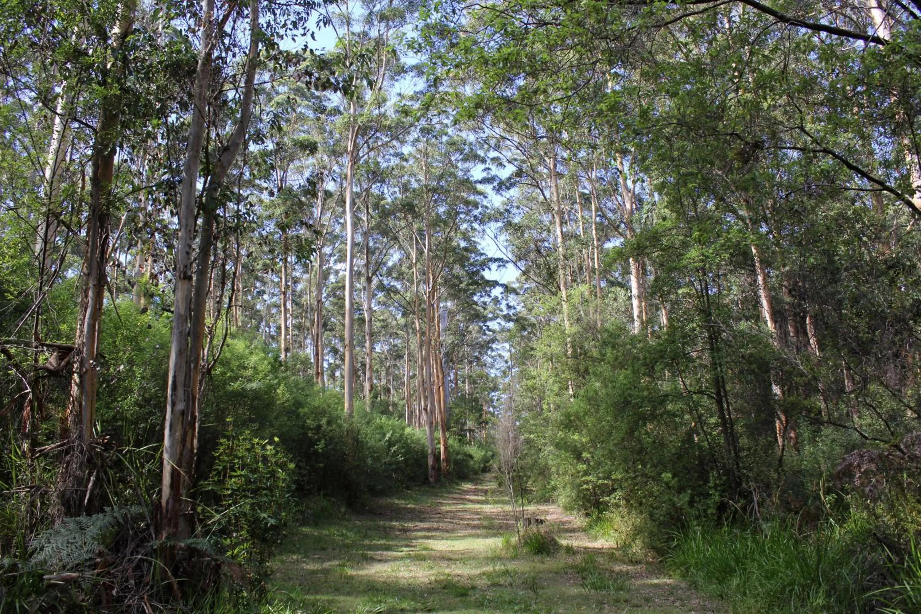 Natural landscape in Che Sara Sara Chalets