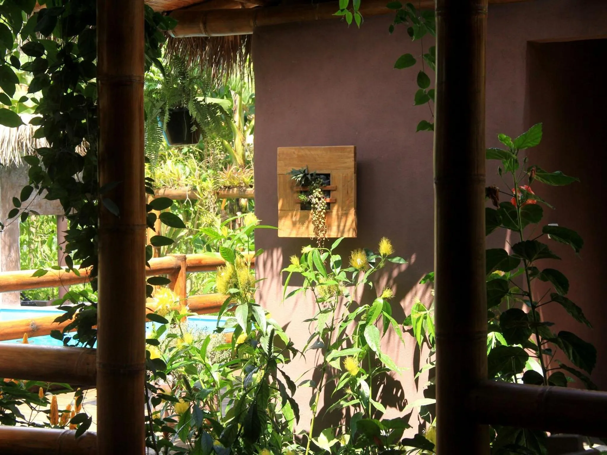 Pool view in La Bicok EcoLodge