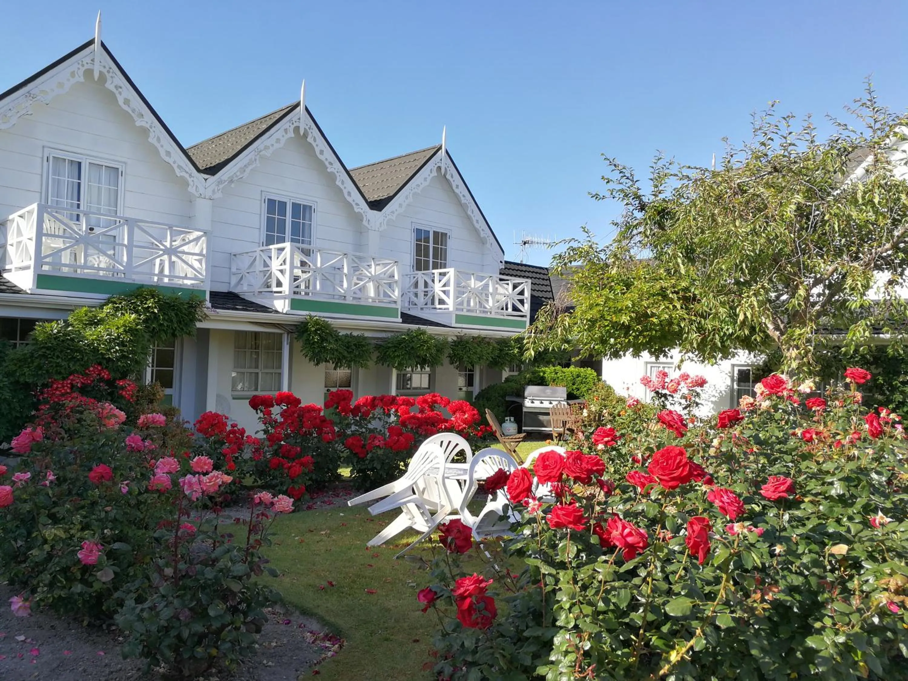 Garden in Phoenix Thermal Resort - Taupo