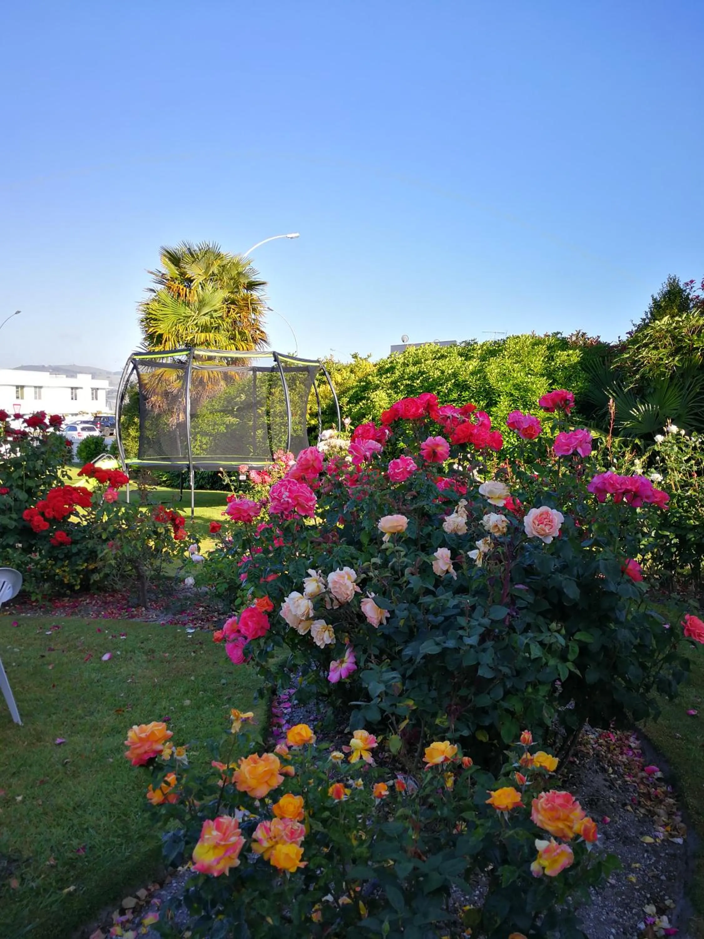 Garden in Phoenix Thermal Resort - Taupo