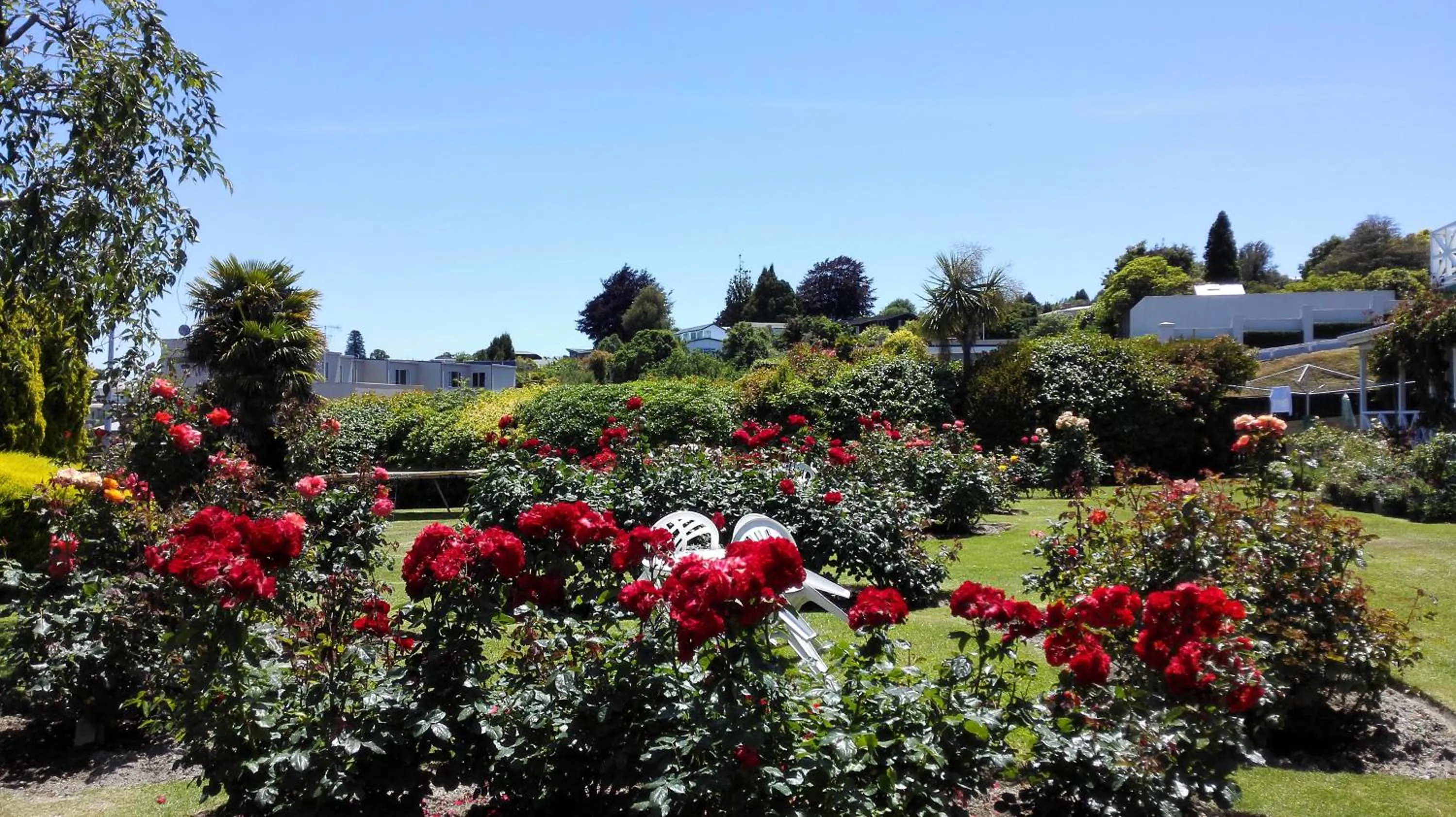 Summer in Phoenix Thermal Resort - Taupo