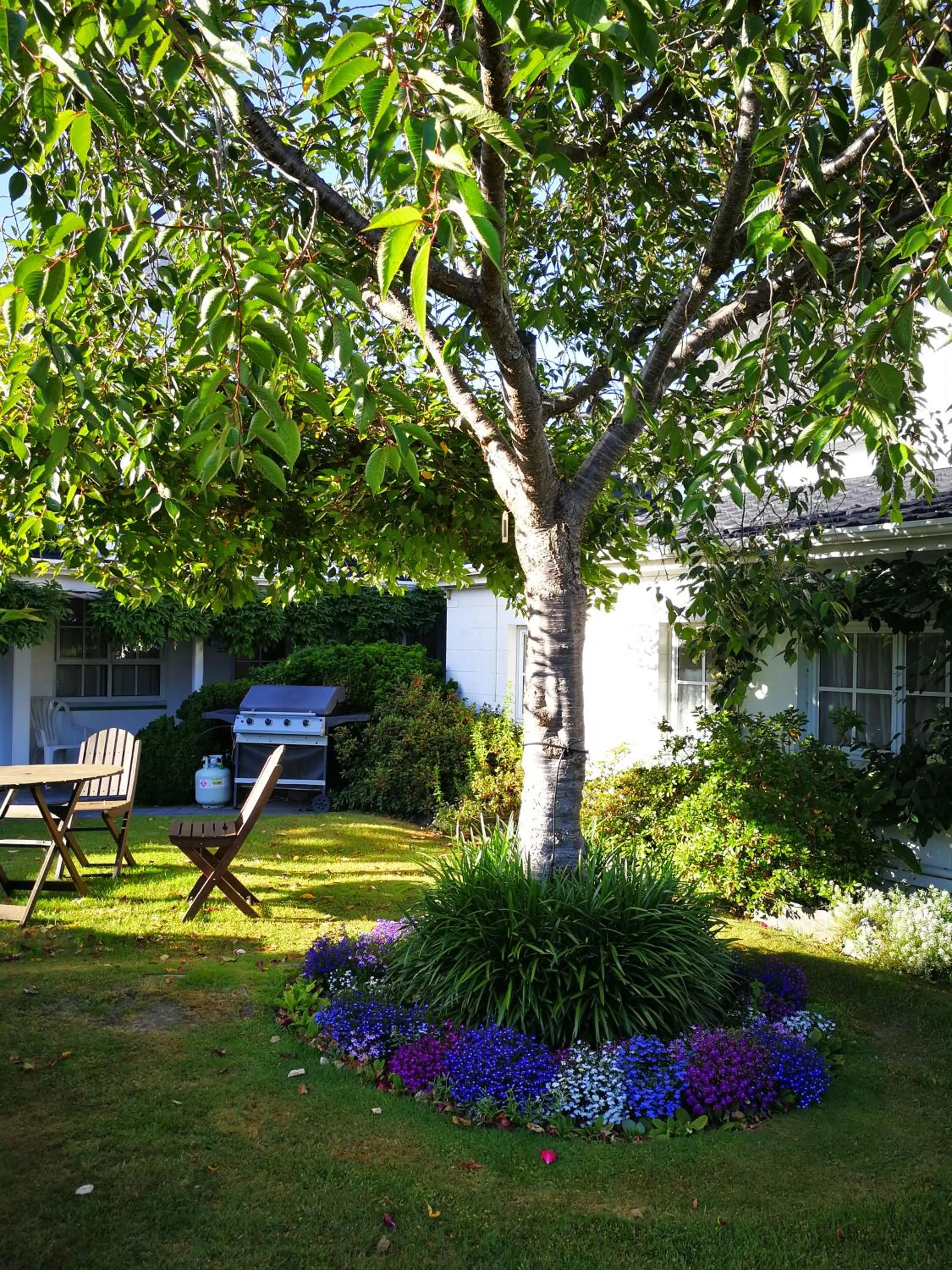 Garden in Phoenix Thermal Resort - Taupo