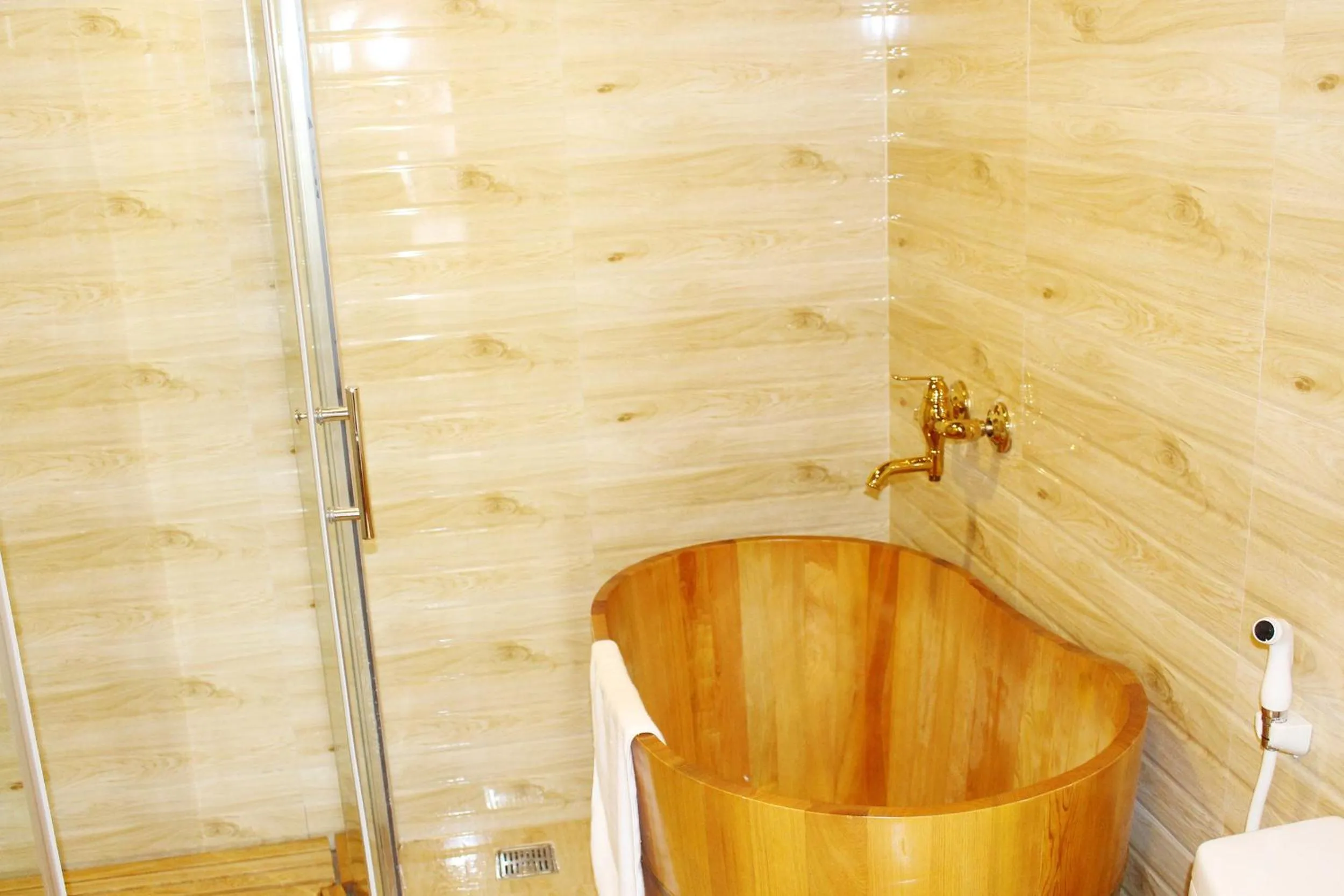 Other in Sapa Dragon Hotel