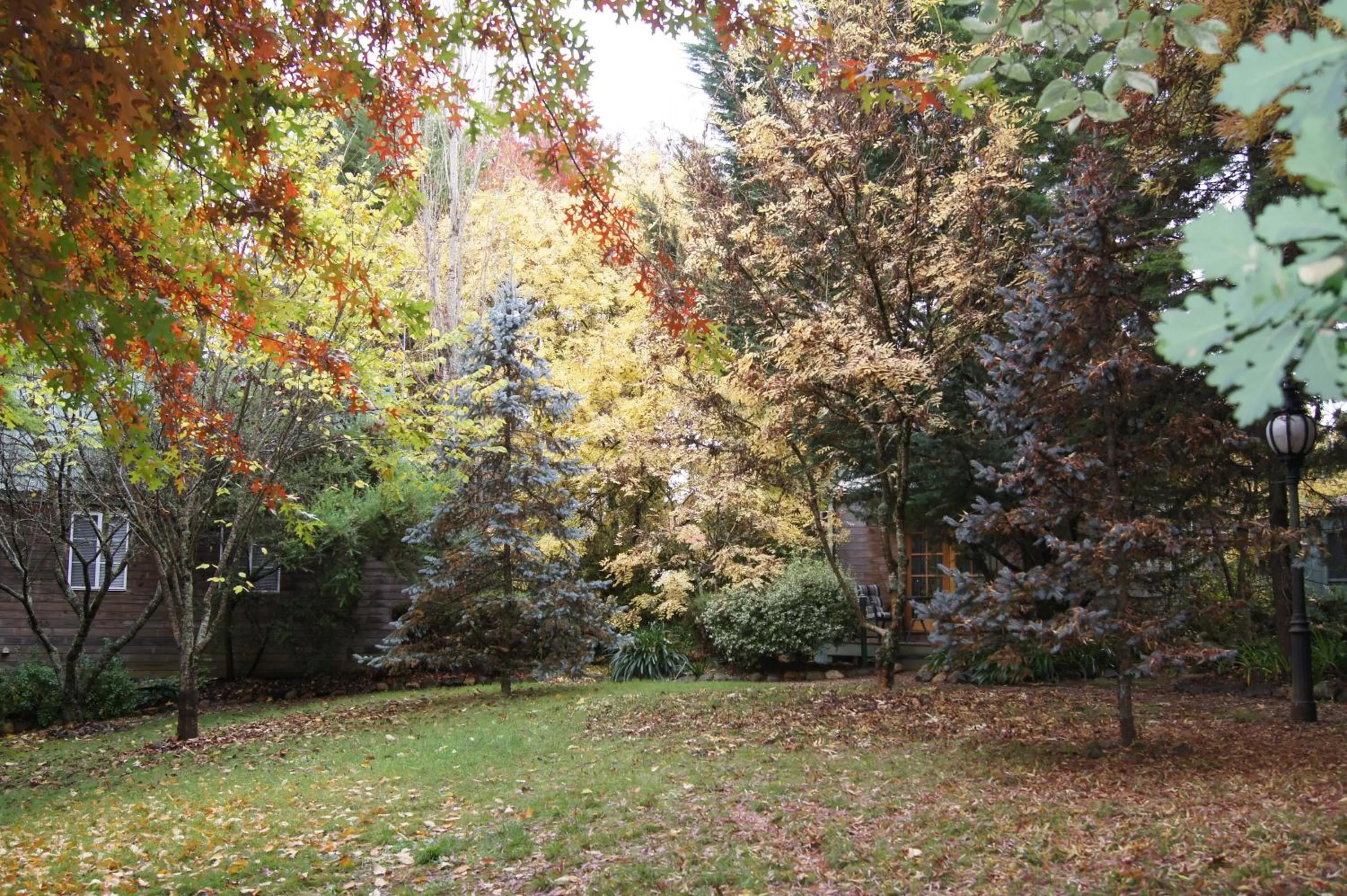 Property building in Chalets Lumineux