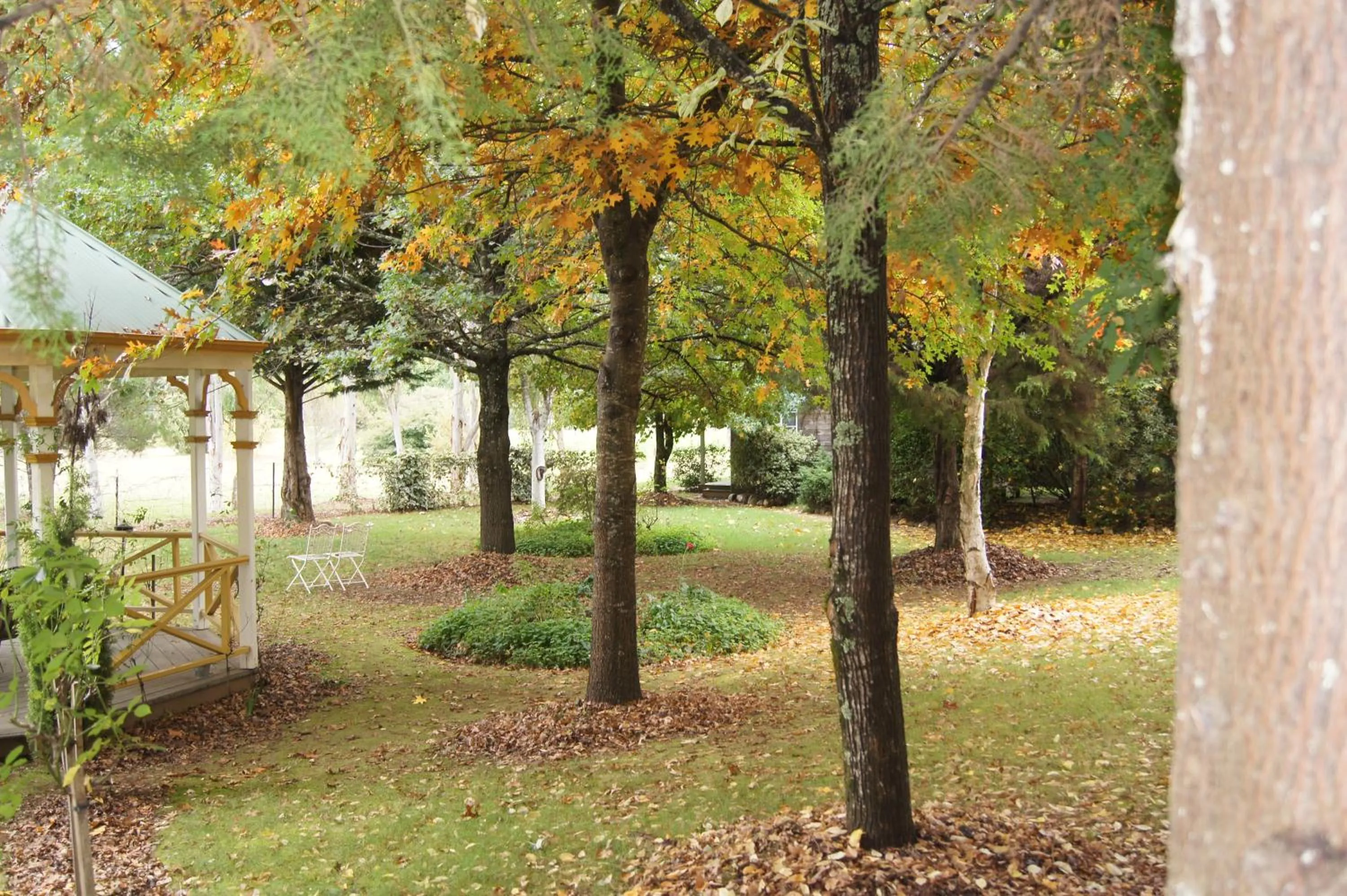 Garden view in Chalets Lumineux
