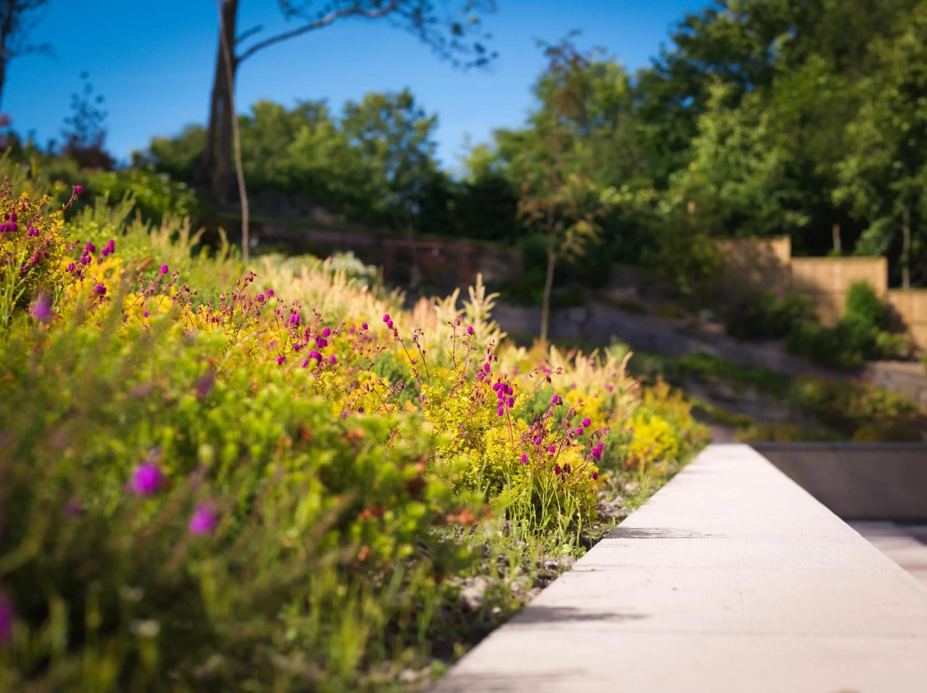 Decorative detail in Y Talbot