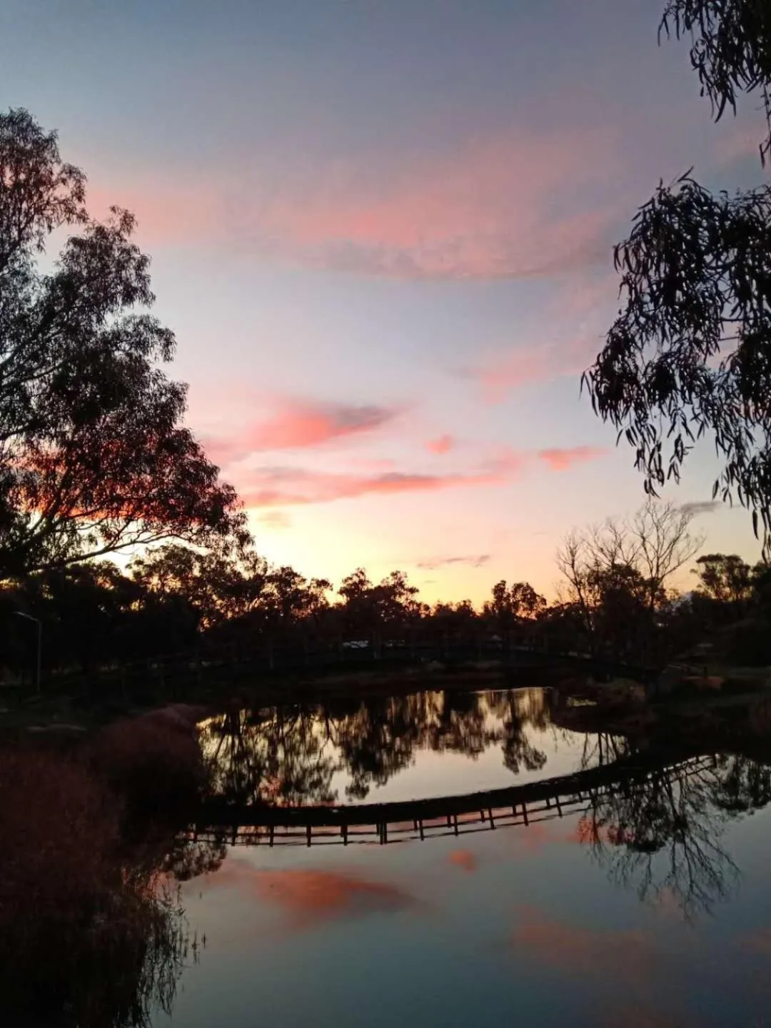 Natural landscape in Donald Riverside Motel