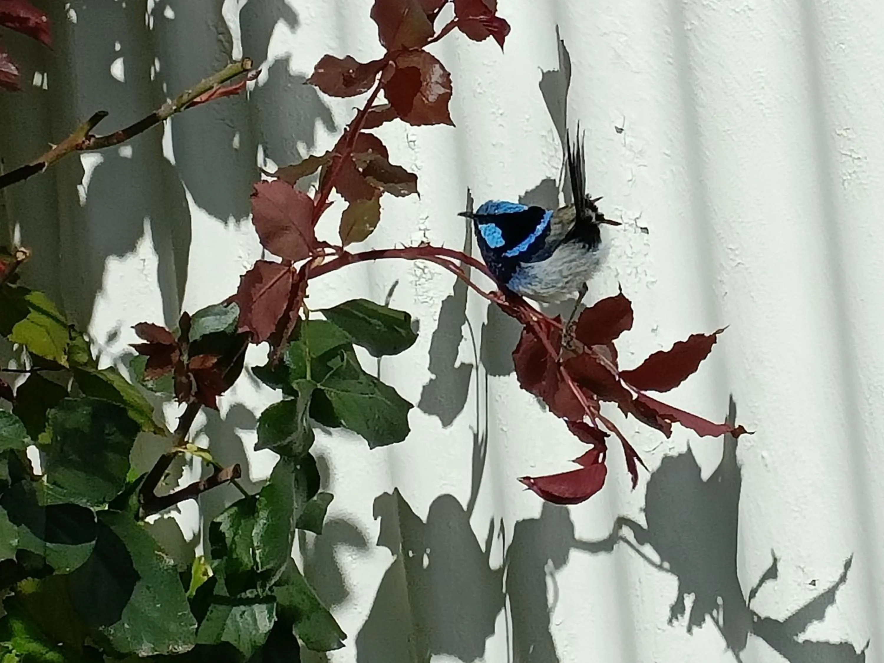 Property building in Donald Riverside Motel