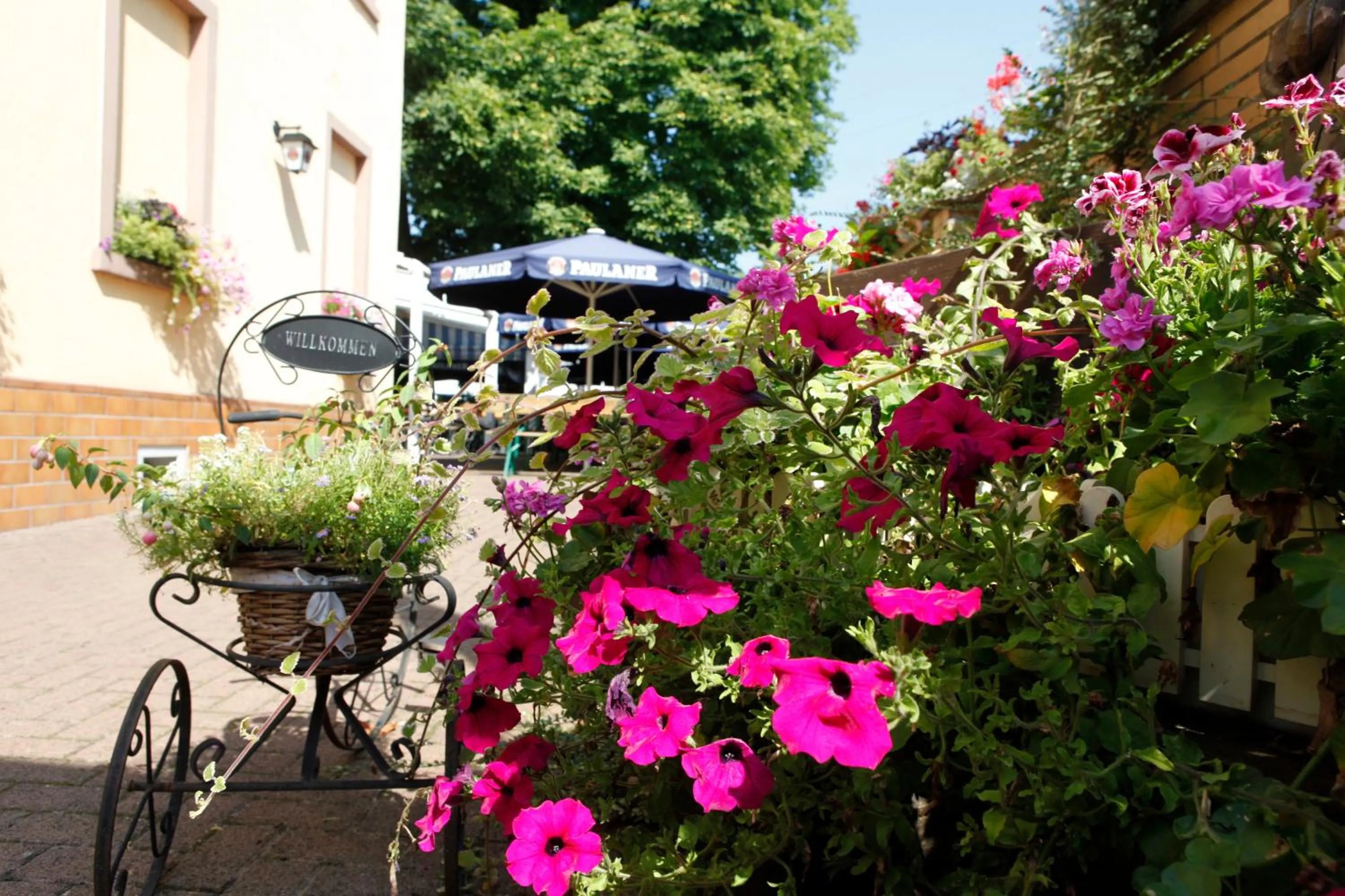 Patio in Zur Waldlust