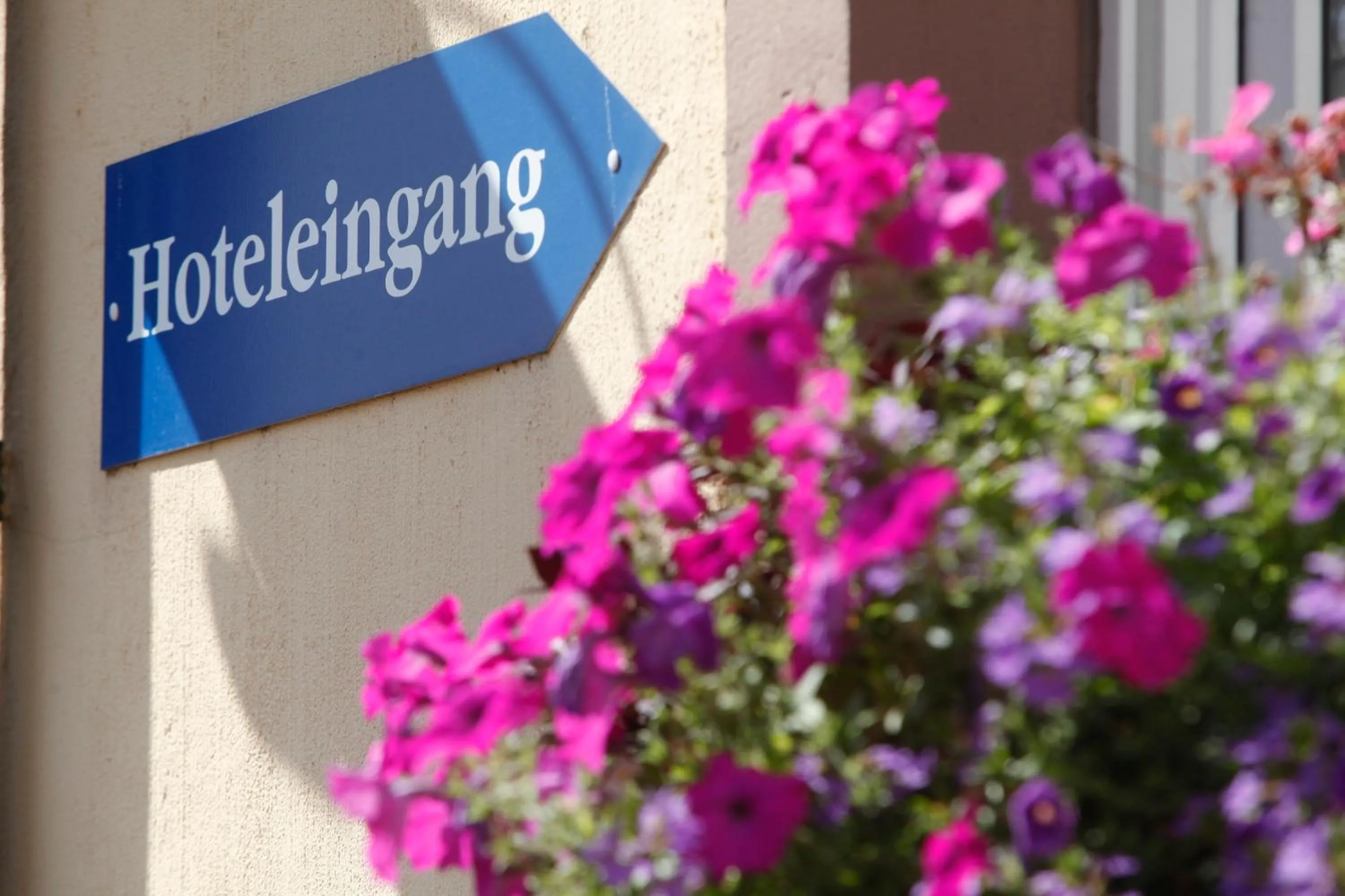 Patio in Zur Waldlust