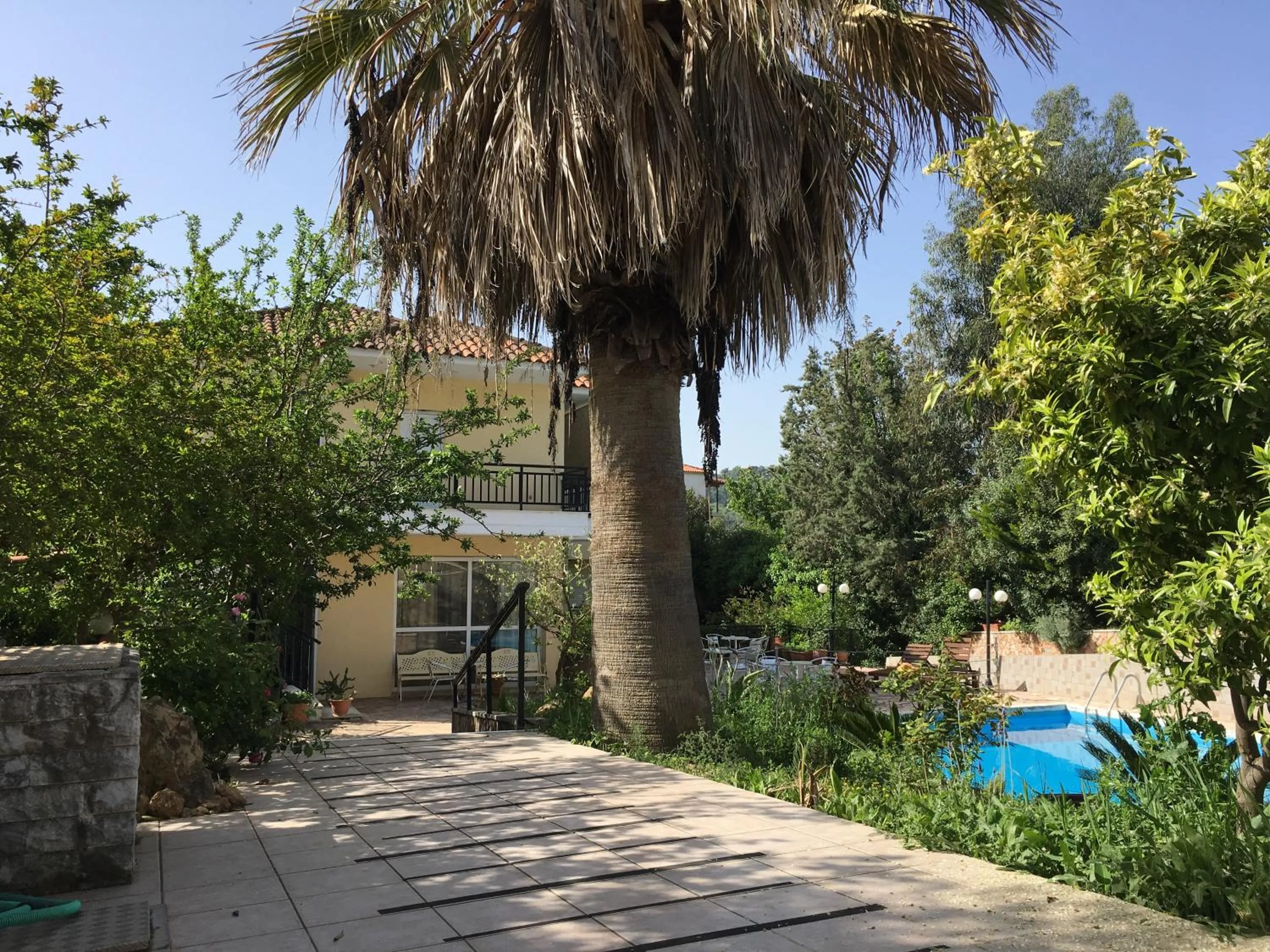 Garden in Athina Hotel