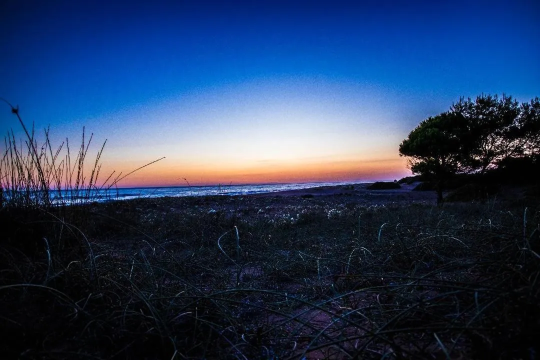 Natural landscape in Athina Hotel