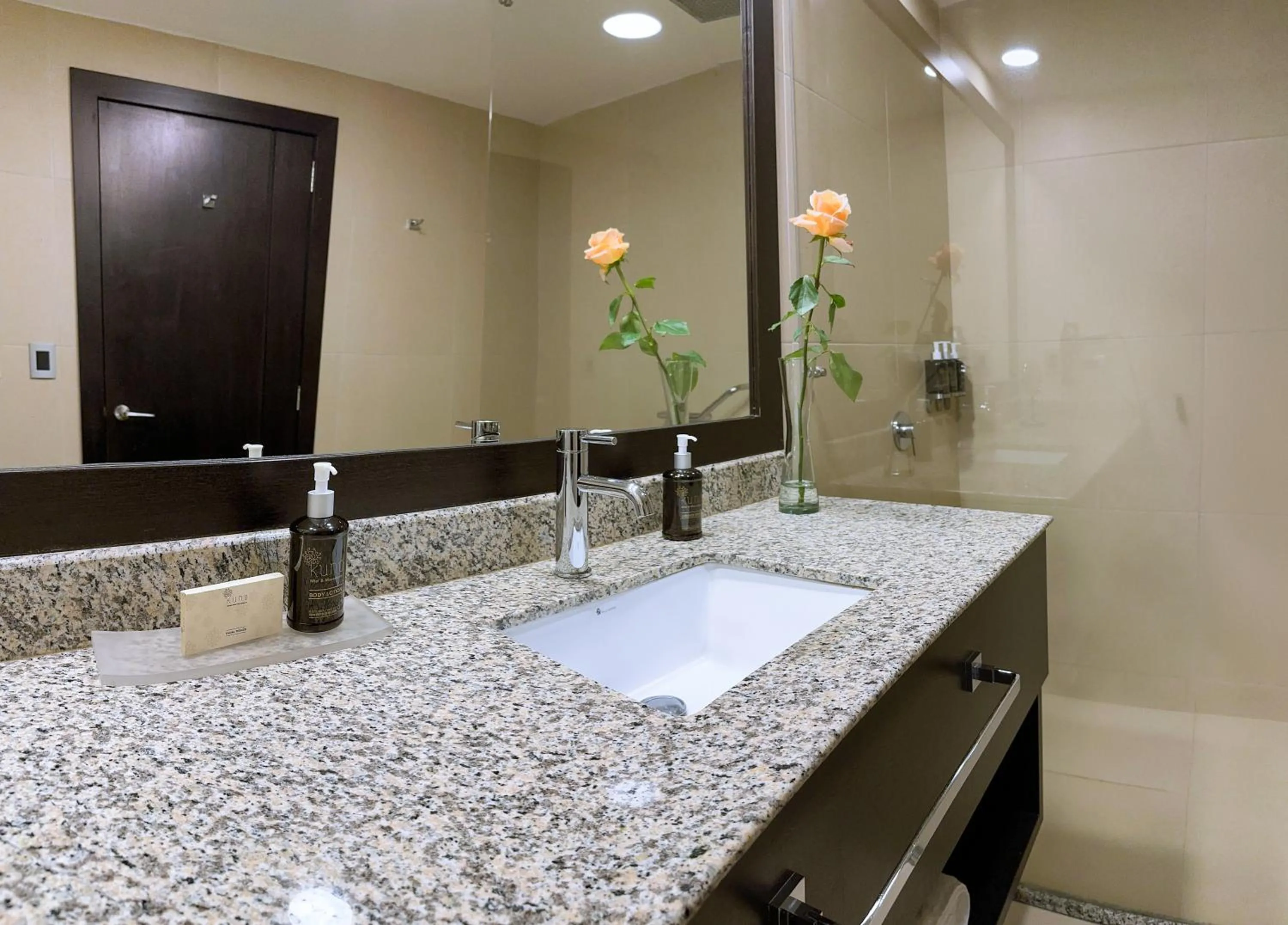 Bathroom in Wyndham Quito Airport