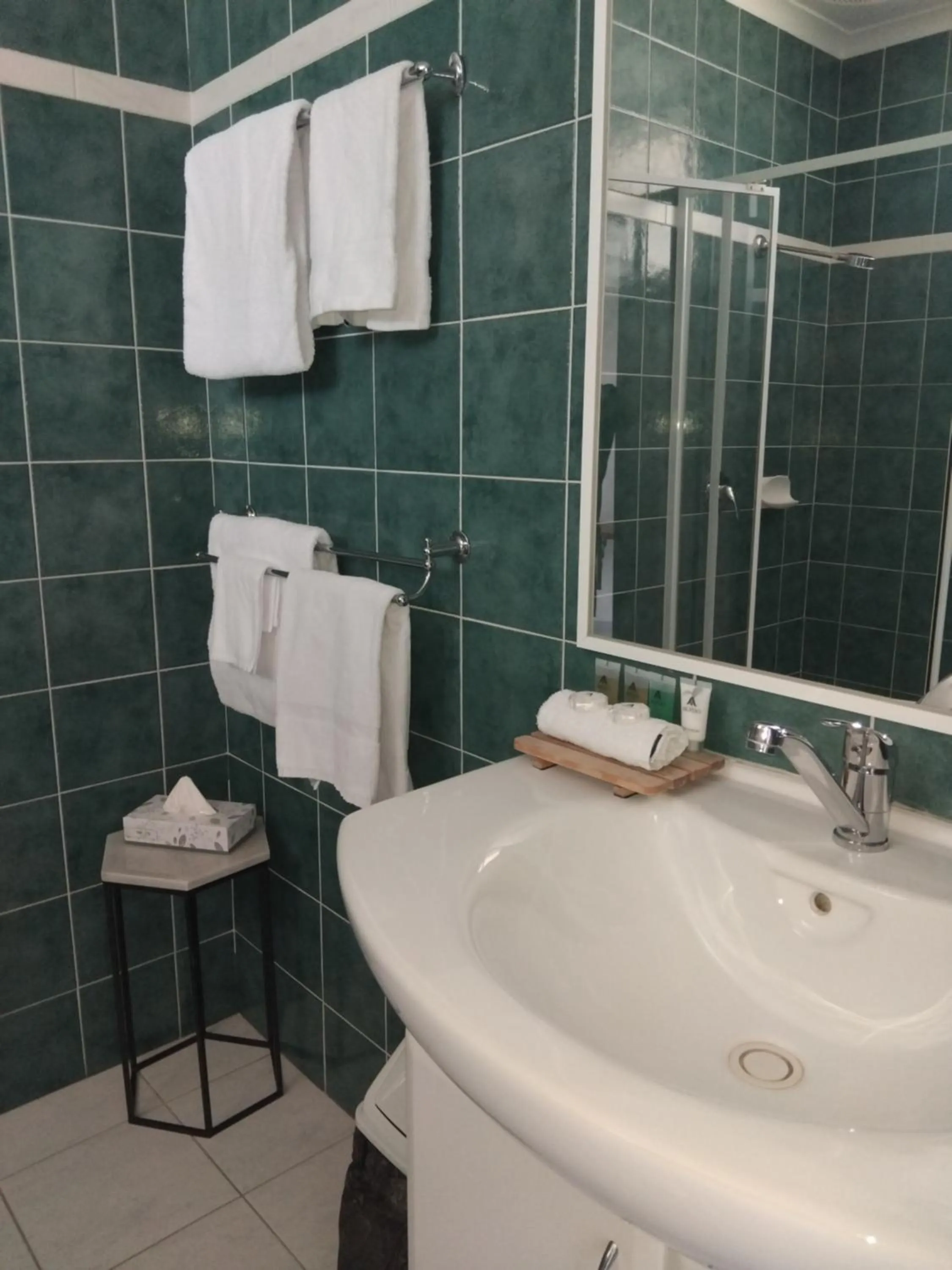 Bathroom in Bakery Park Motor Inn