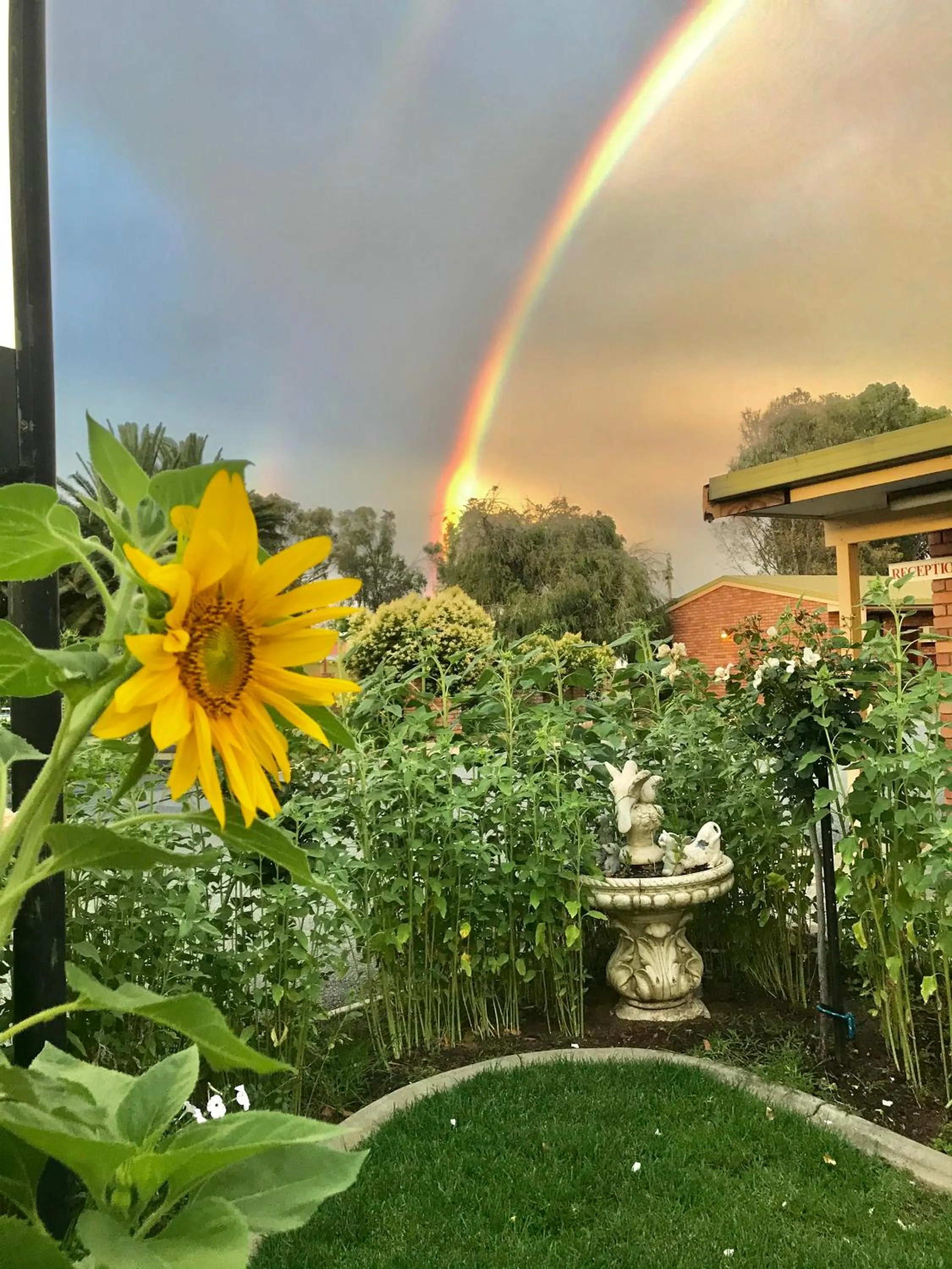 Garden in Bakery Park Motor Inn