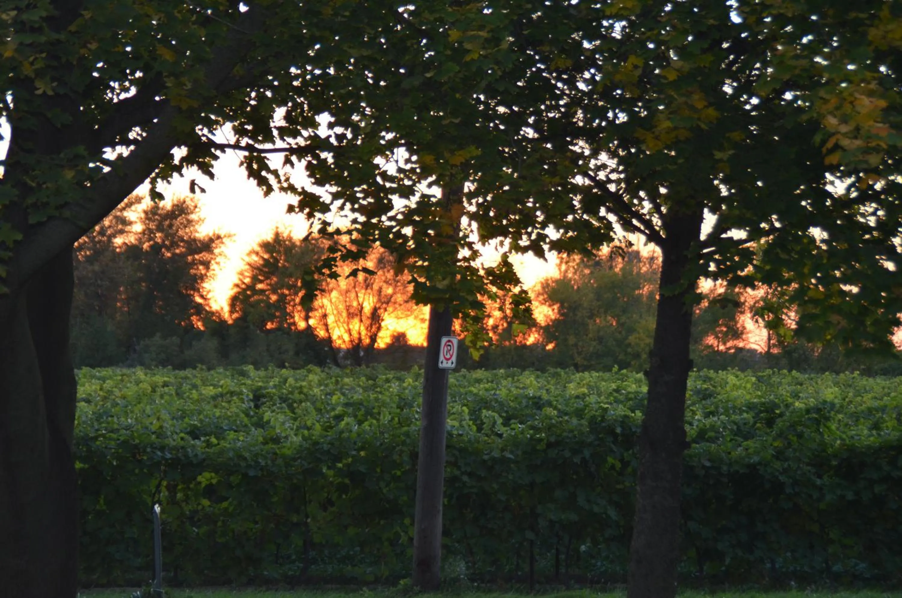 Other in Old Town Country Landing