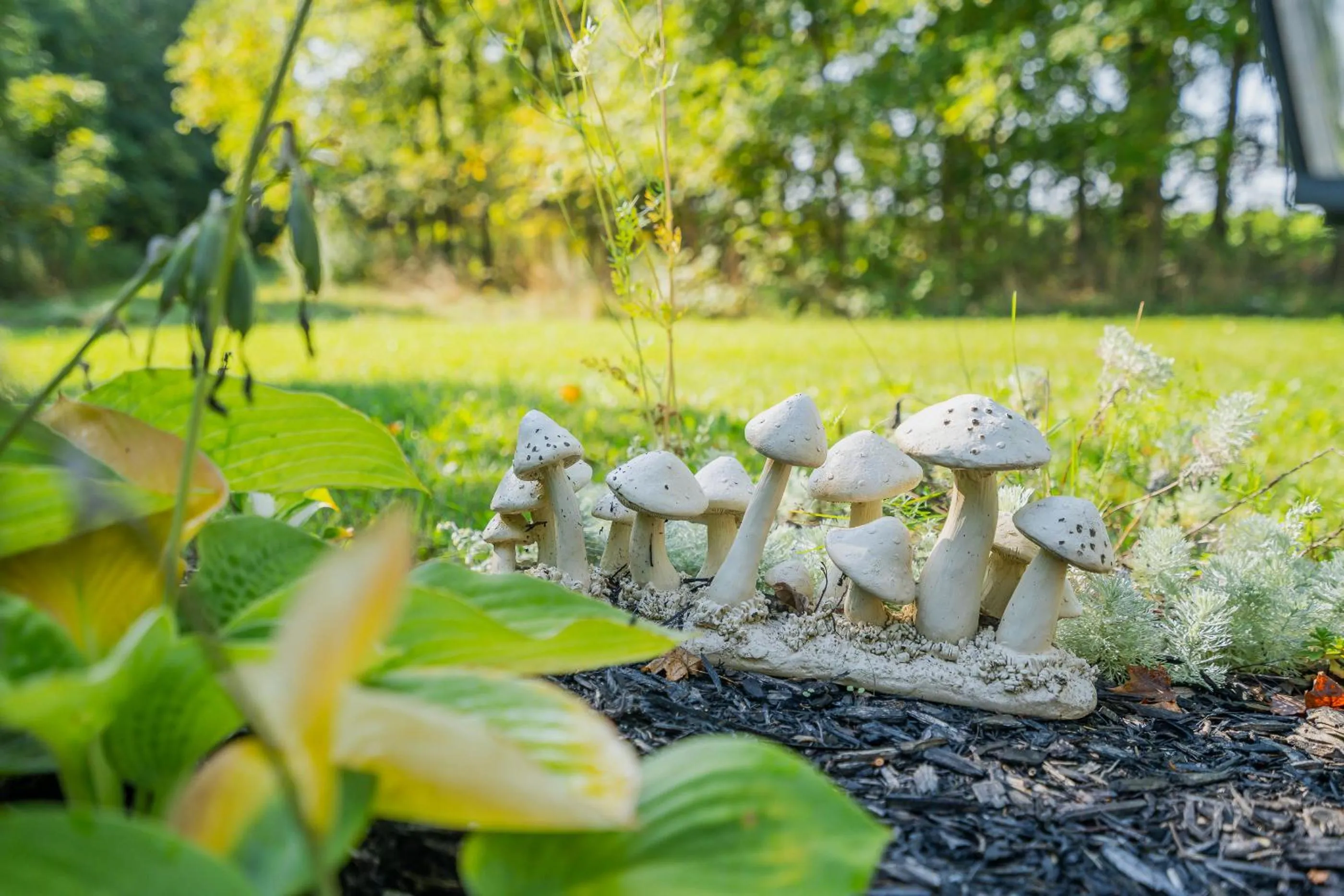 Garden in Old Town Country Landing