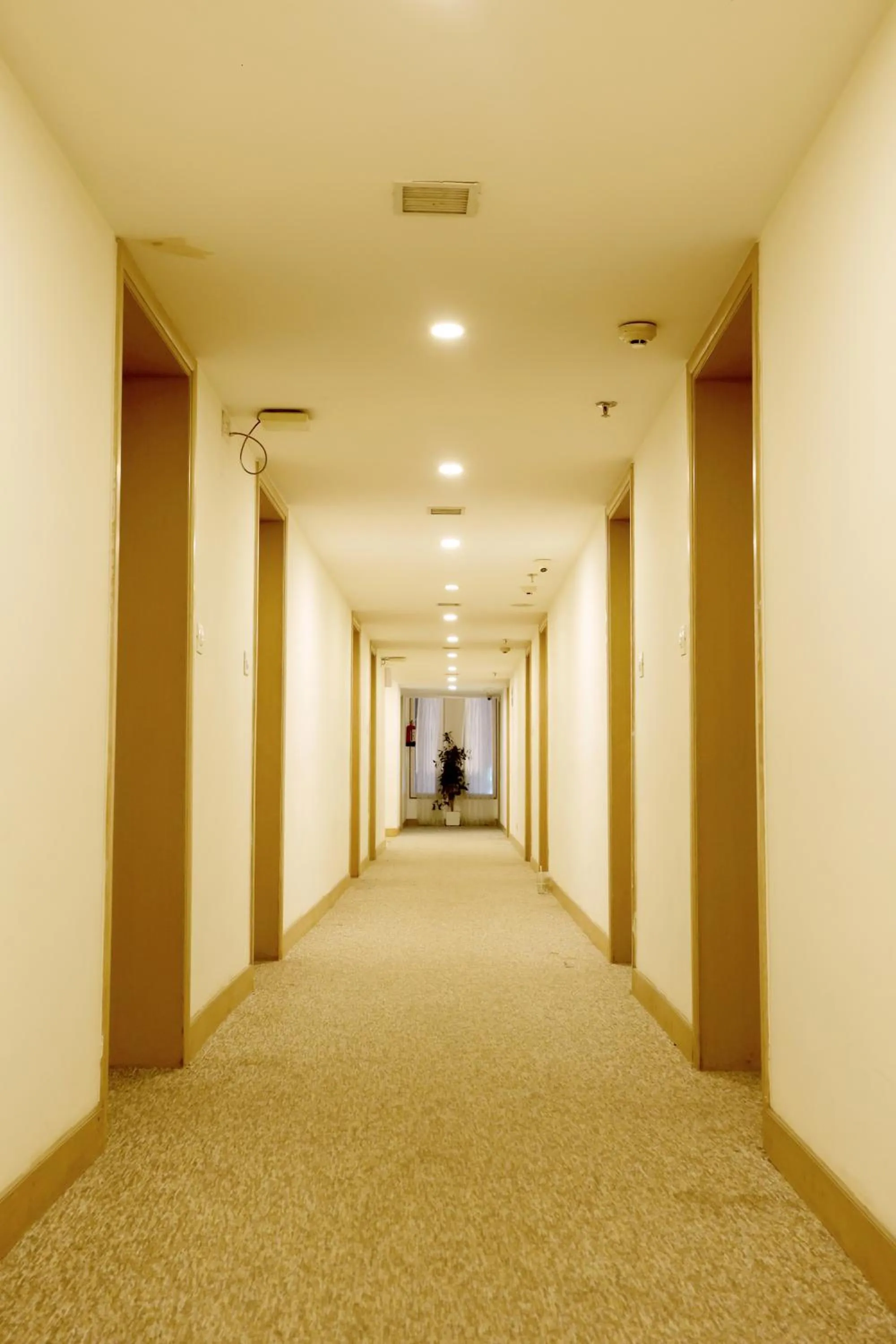 Guests in Royale Lalit Hotel Jaipur