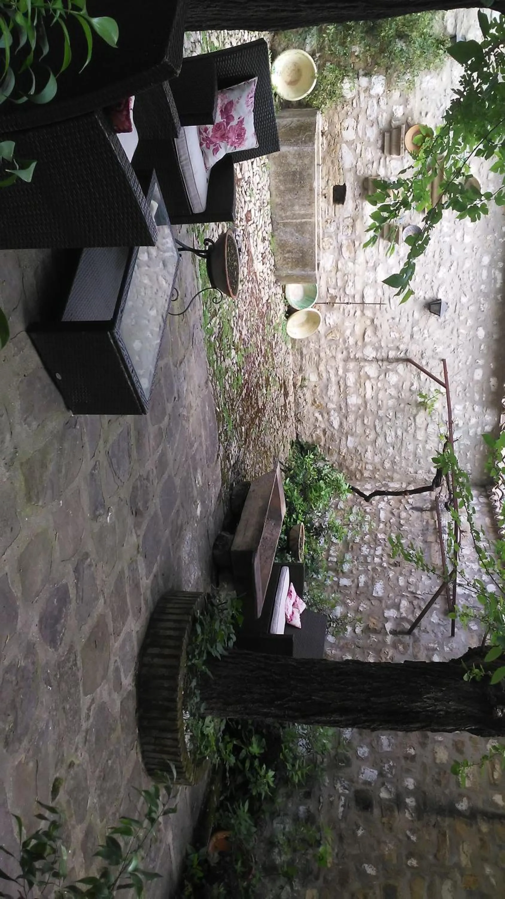 Garden in Hotel Ordóñez Sandoval