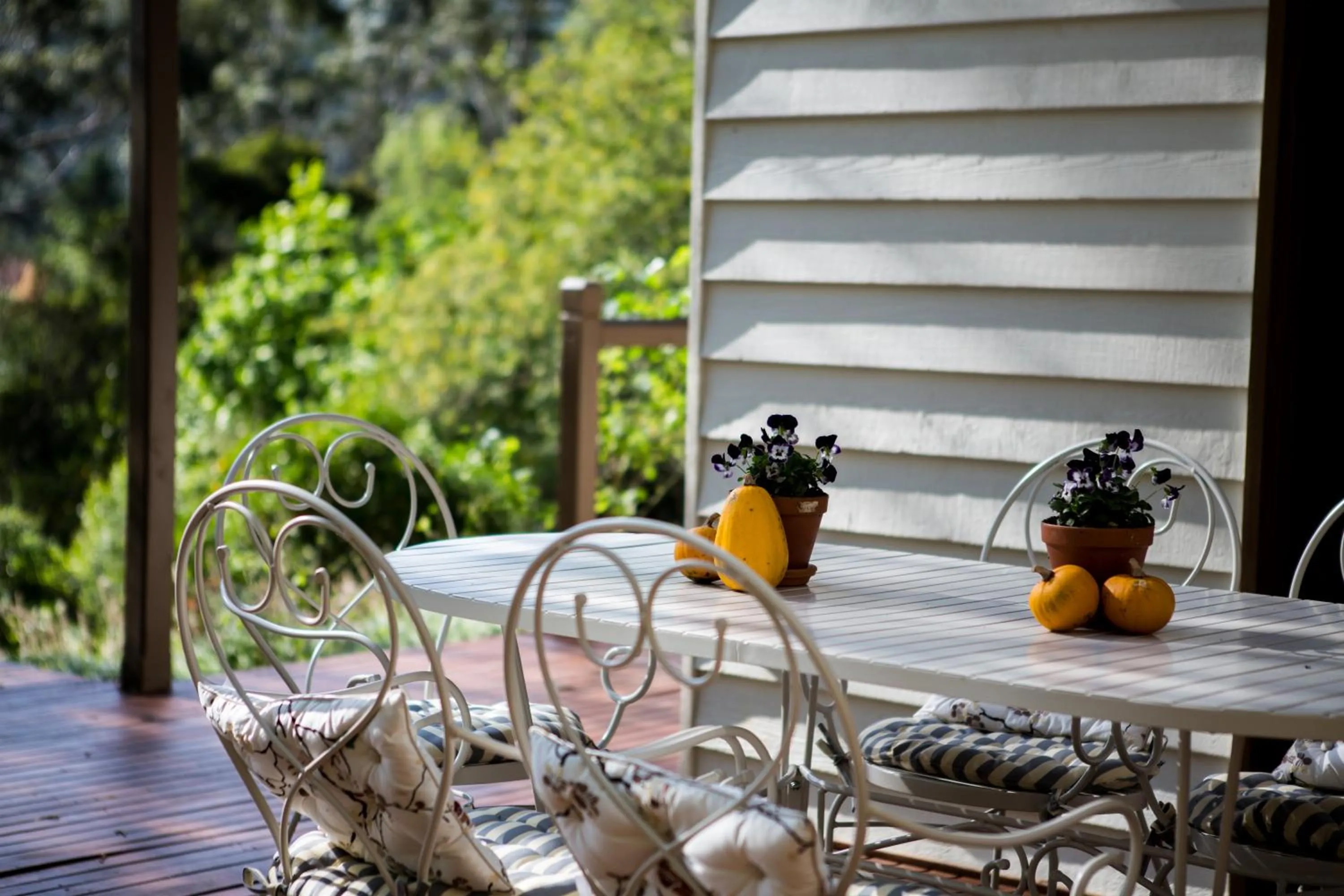 Entertainment in Buttercup Hill