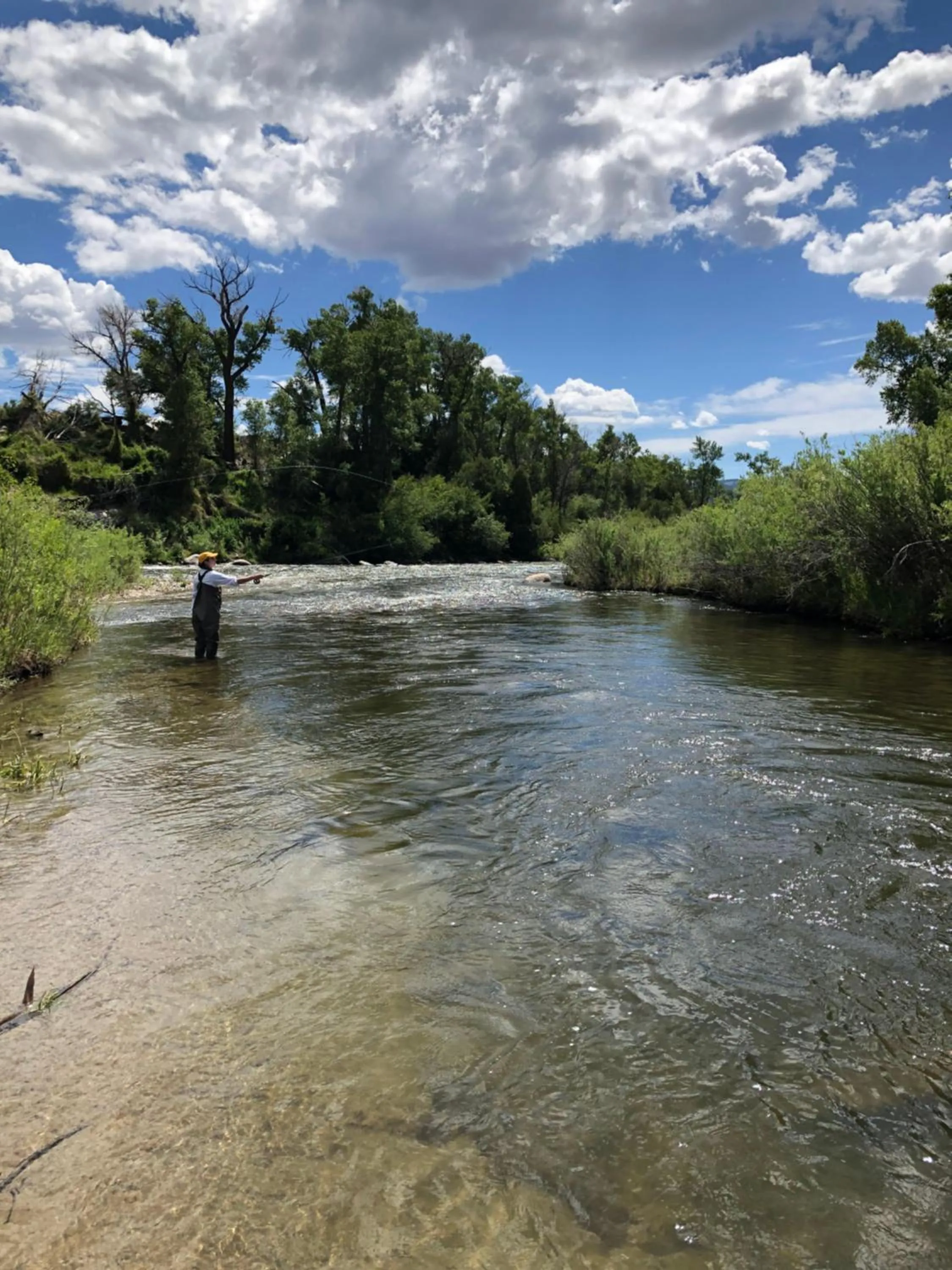 Fishing in The Salida Inn and Hostel