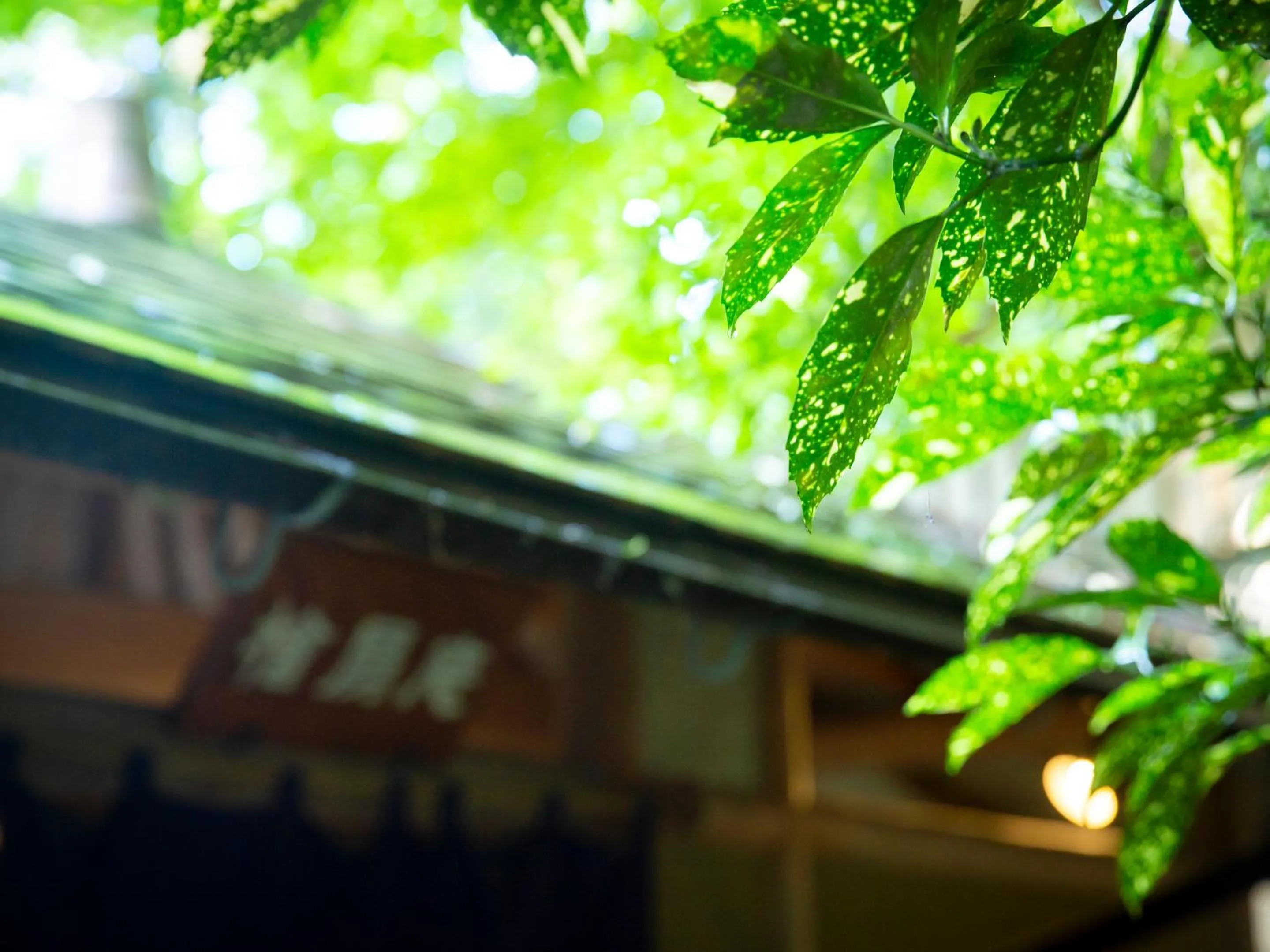Hot Spring Bath in Ooedo Onsen Monogatari Miyoshiya